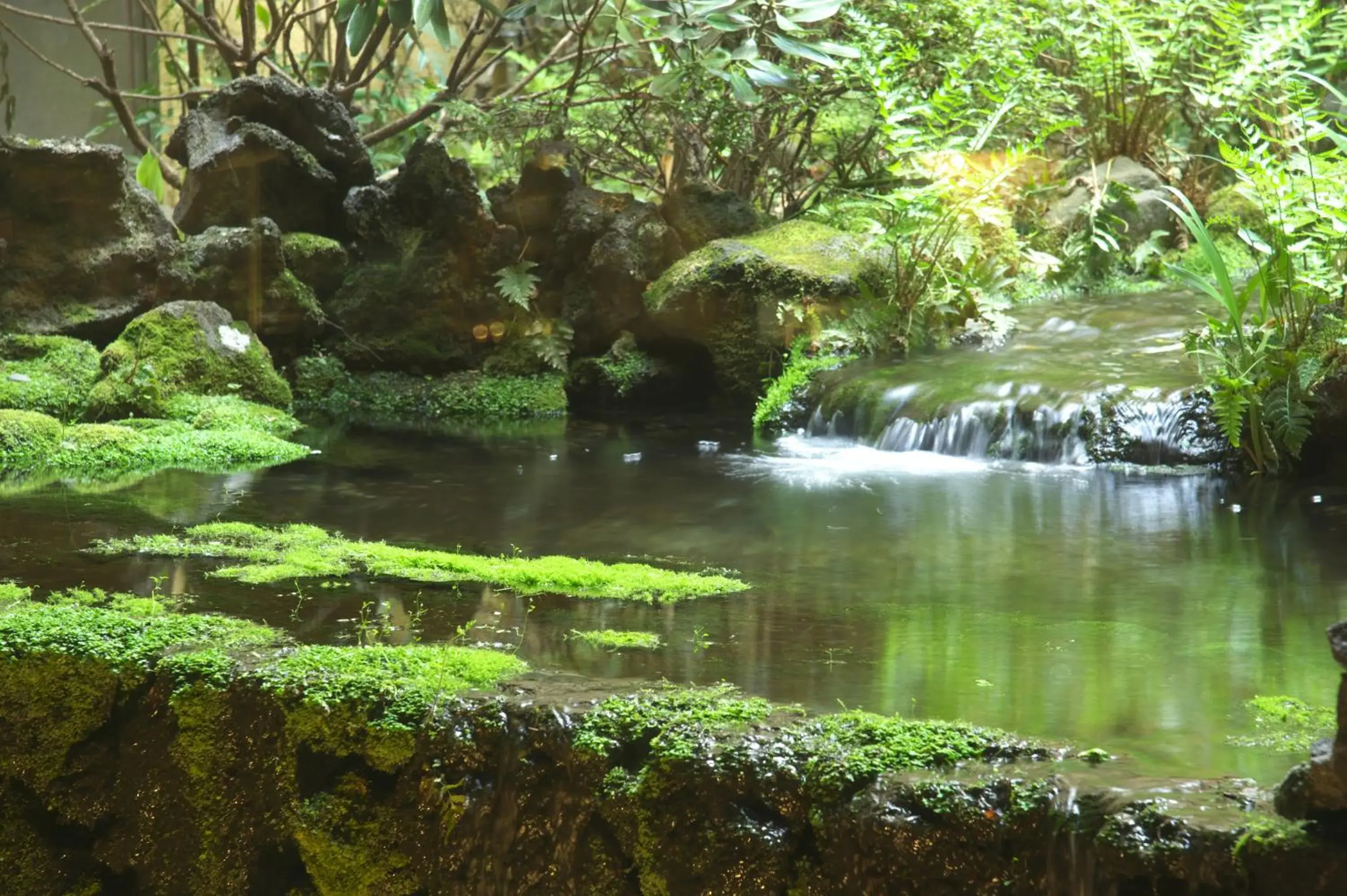 Garden in Kasuitei Ooya