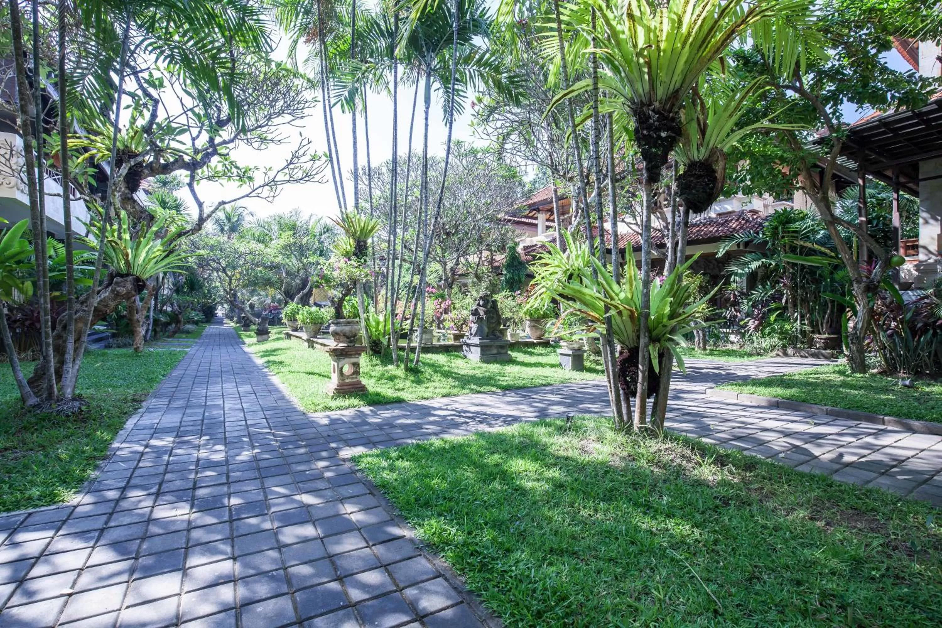 Garden in Vila Shanti Beach Front Hotel Sanur