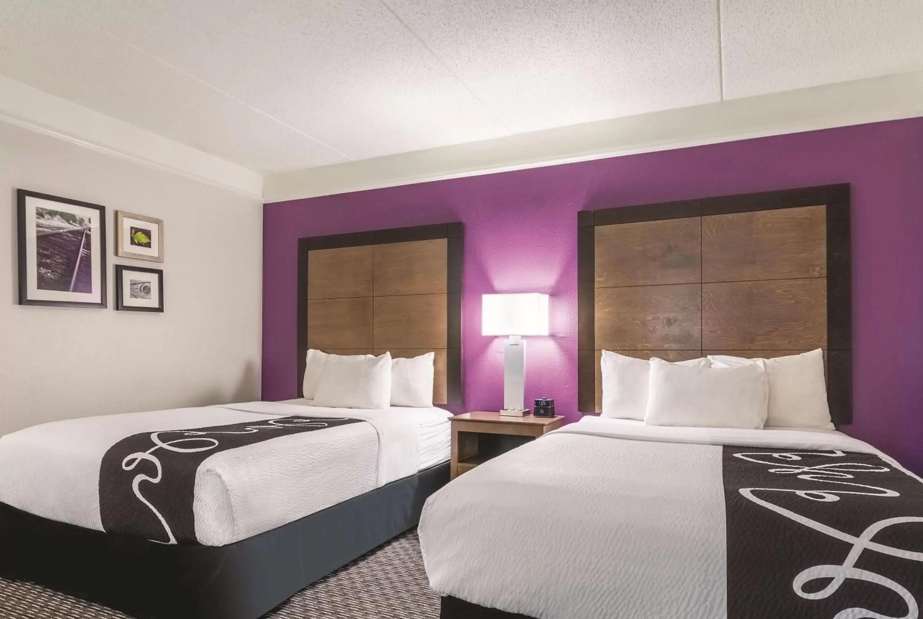 Photo of the whole room, Bed in La Quinta by Wyndham Alexandria Airport