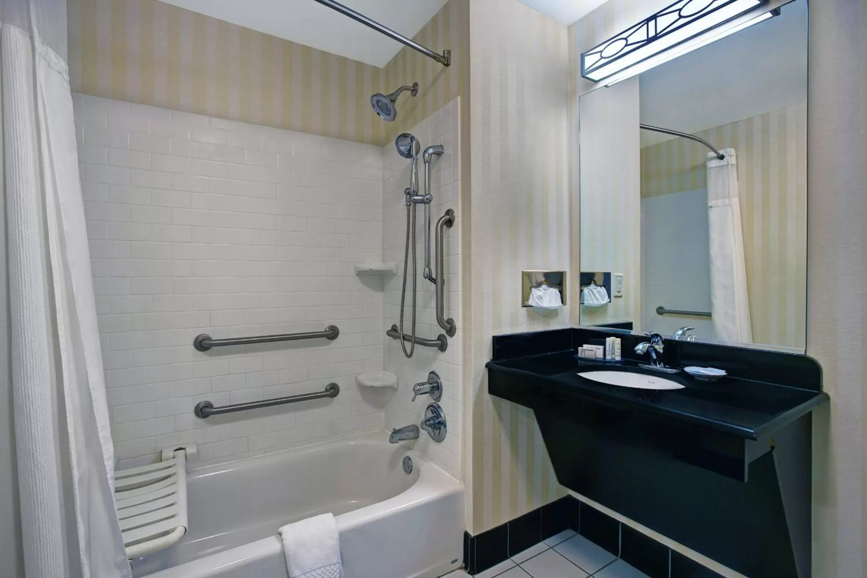 Bathroom in Fairfield Inn and Suites Carlsbad