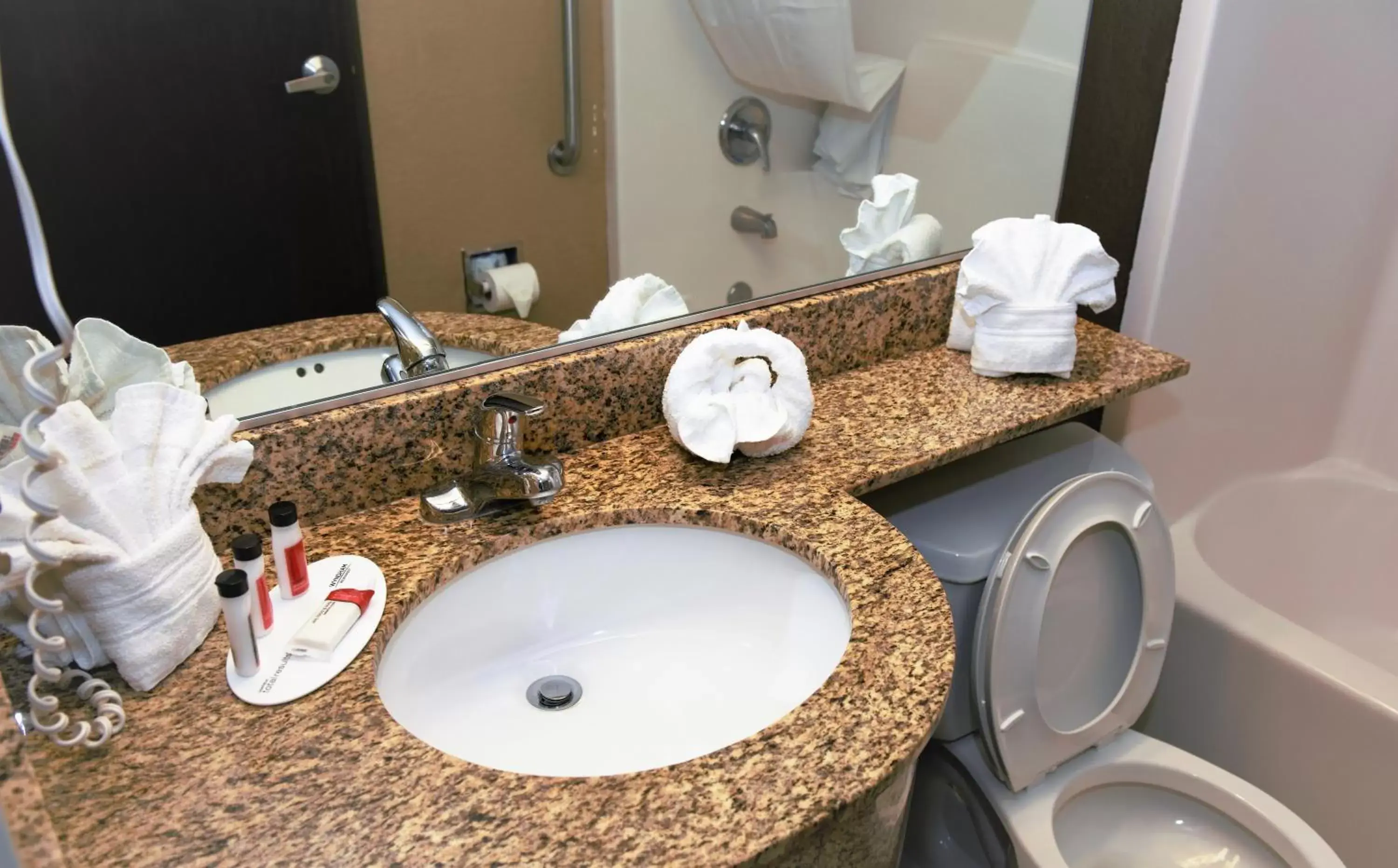 Toilet, Bathroom in Microtel Inn & Suites by Wyndham Jacksonville Airport