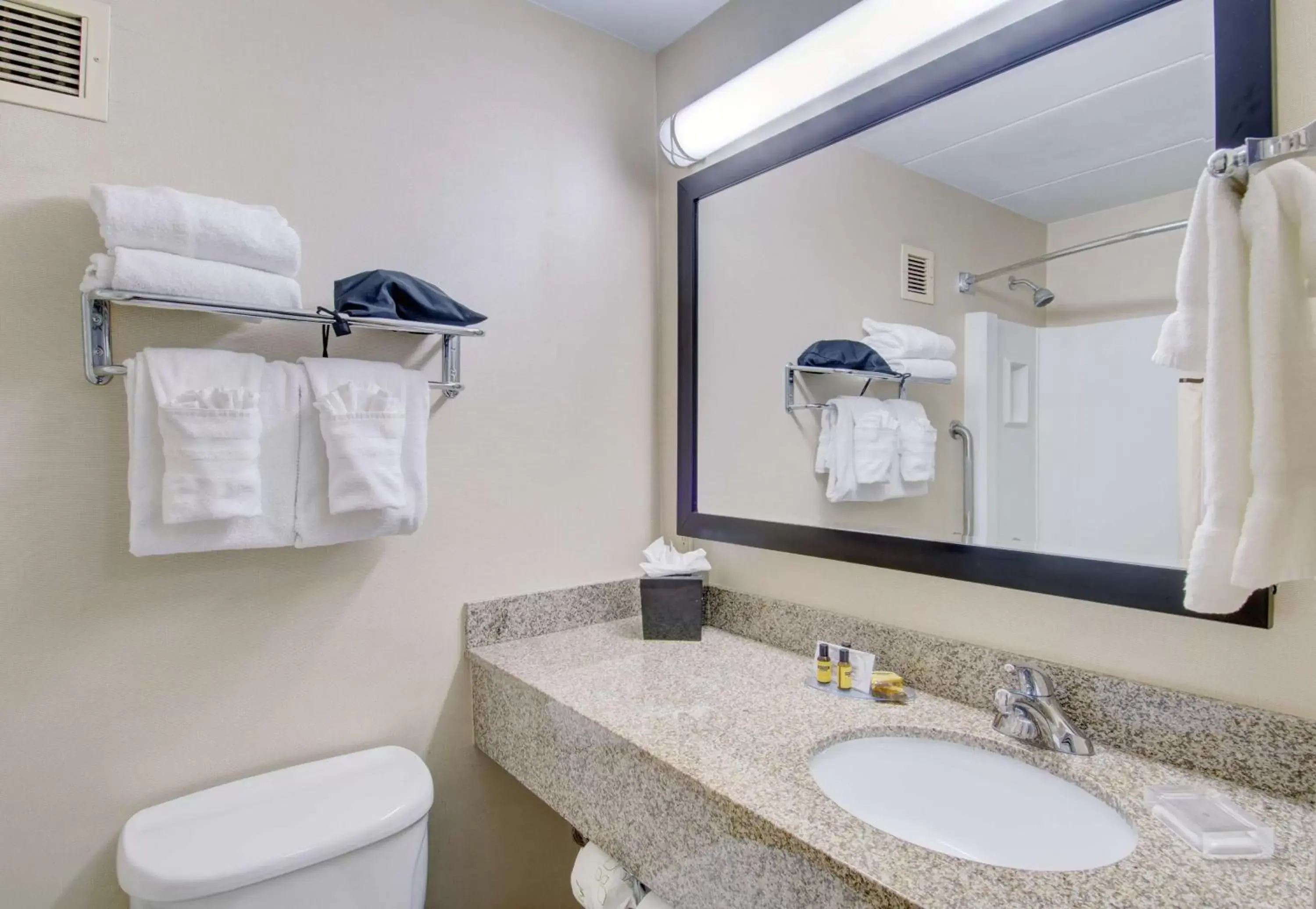 Shower, Bathroom in Best Western Plus Waltham Boston