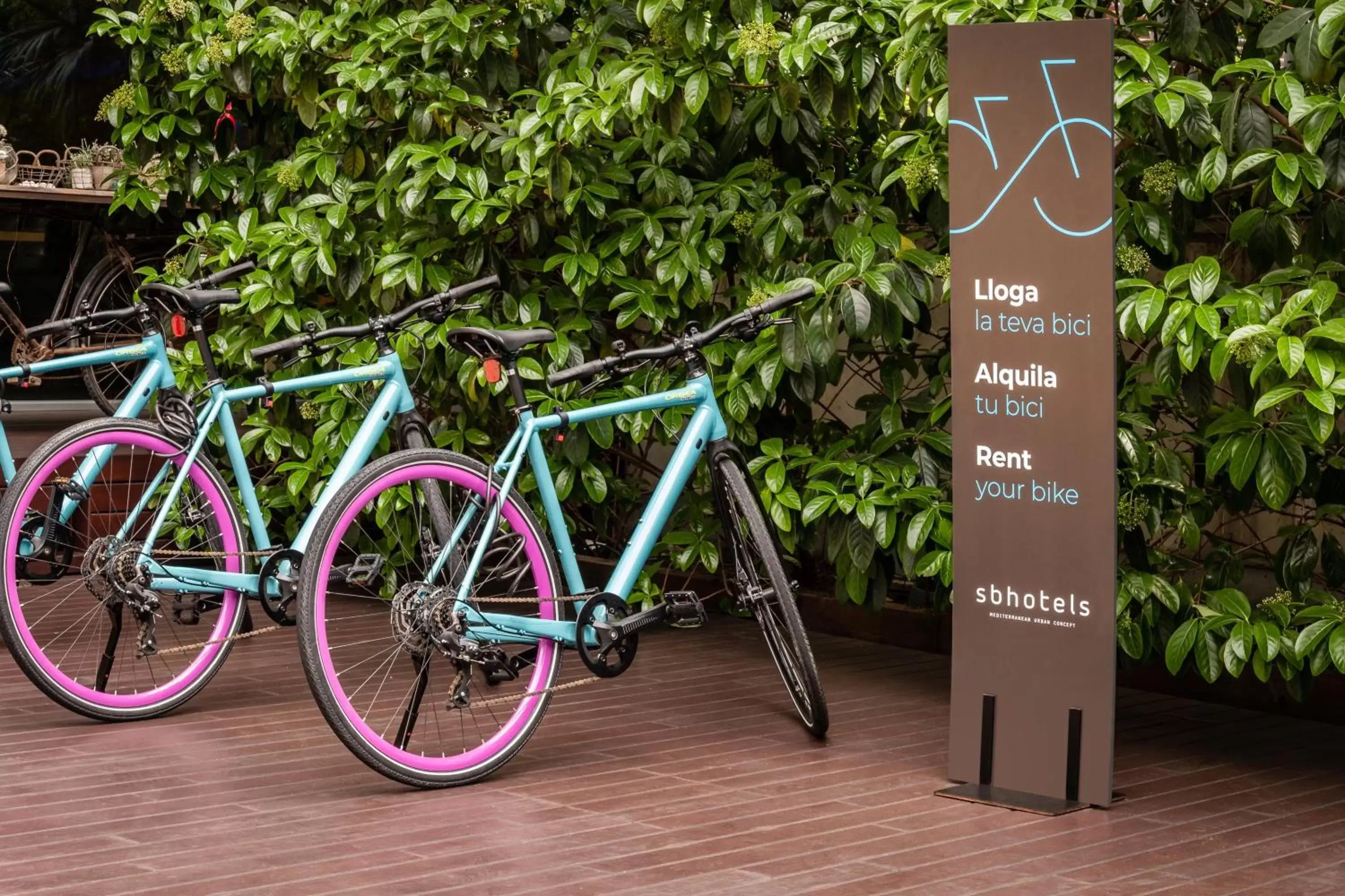 Cycling, Other Activities in Hotel SB Diagonal Zero 4 Sup