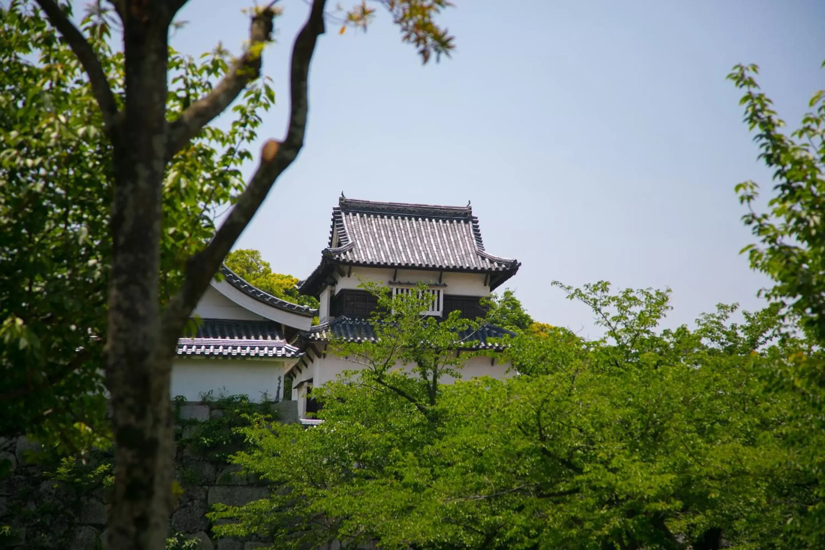 Nearby landmark in Heiwadai Hotel Arato