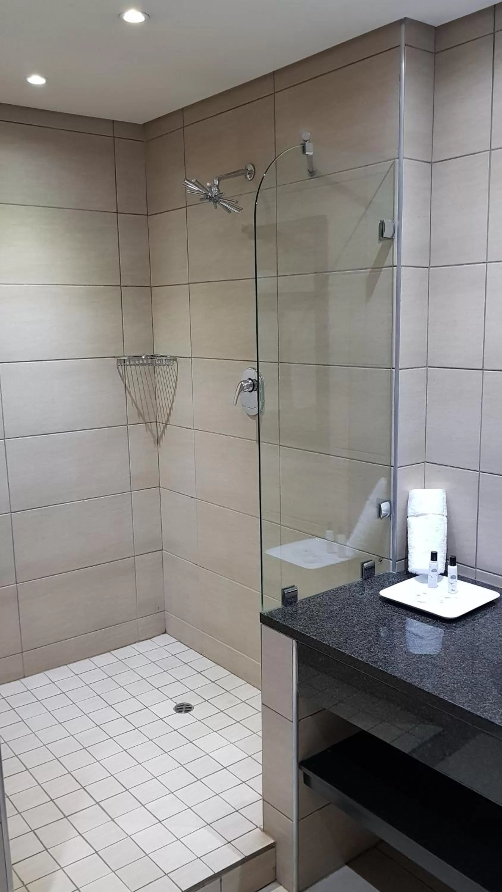 Shower in African Sky Ermelo Inn