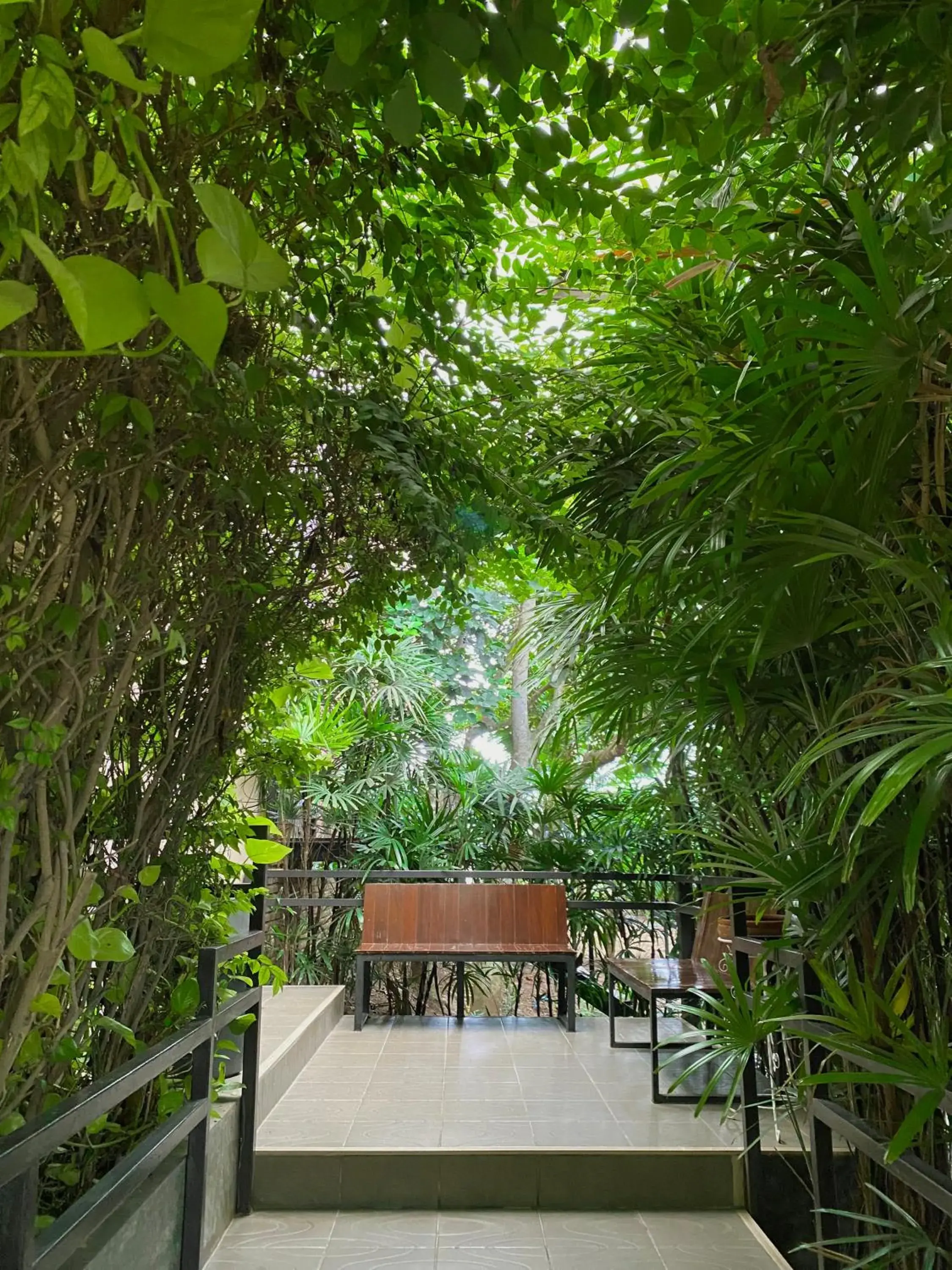 Garden in The Coconut Hotel