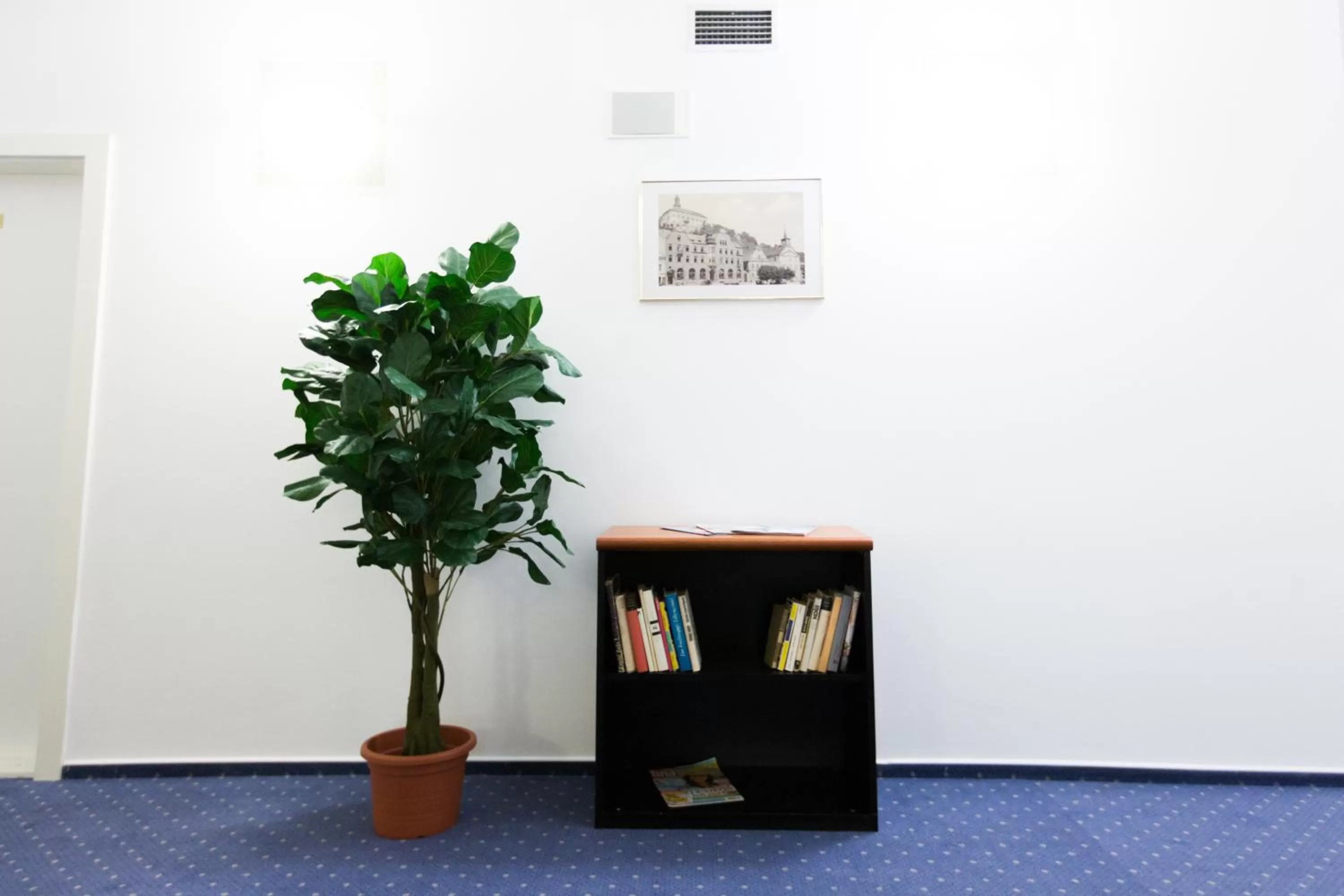 Area and facilities in Hotel U Beránka Náchod