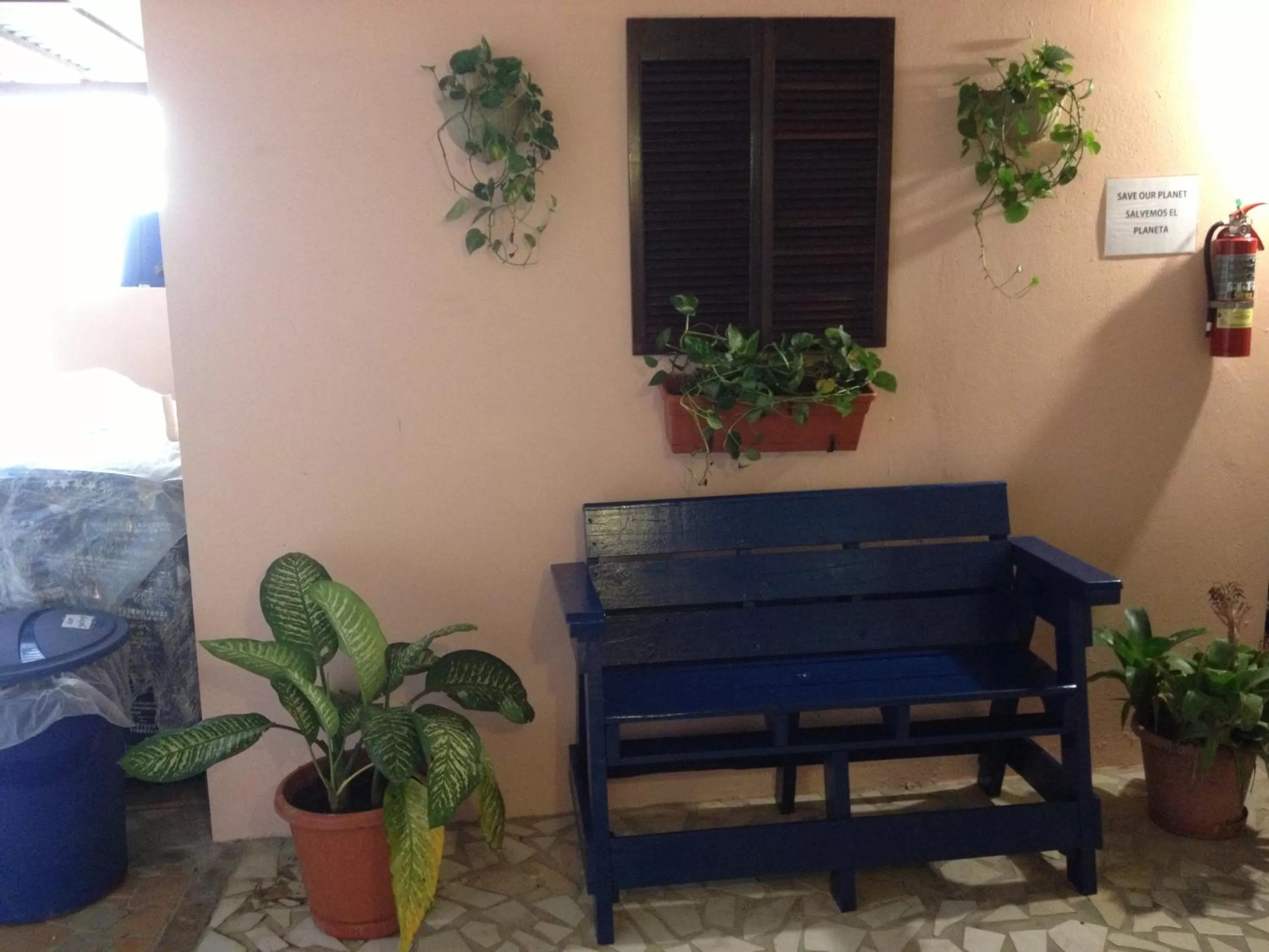 Decorative detail in Dreams Hotel Puerto Rico