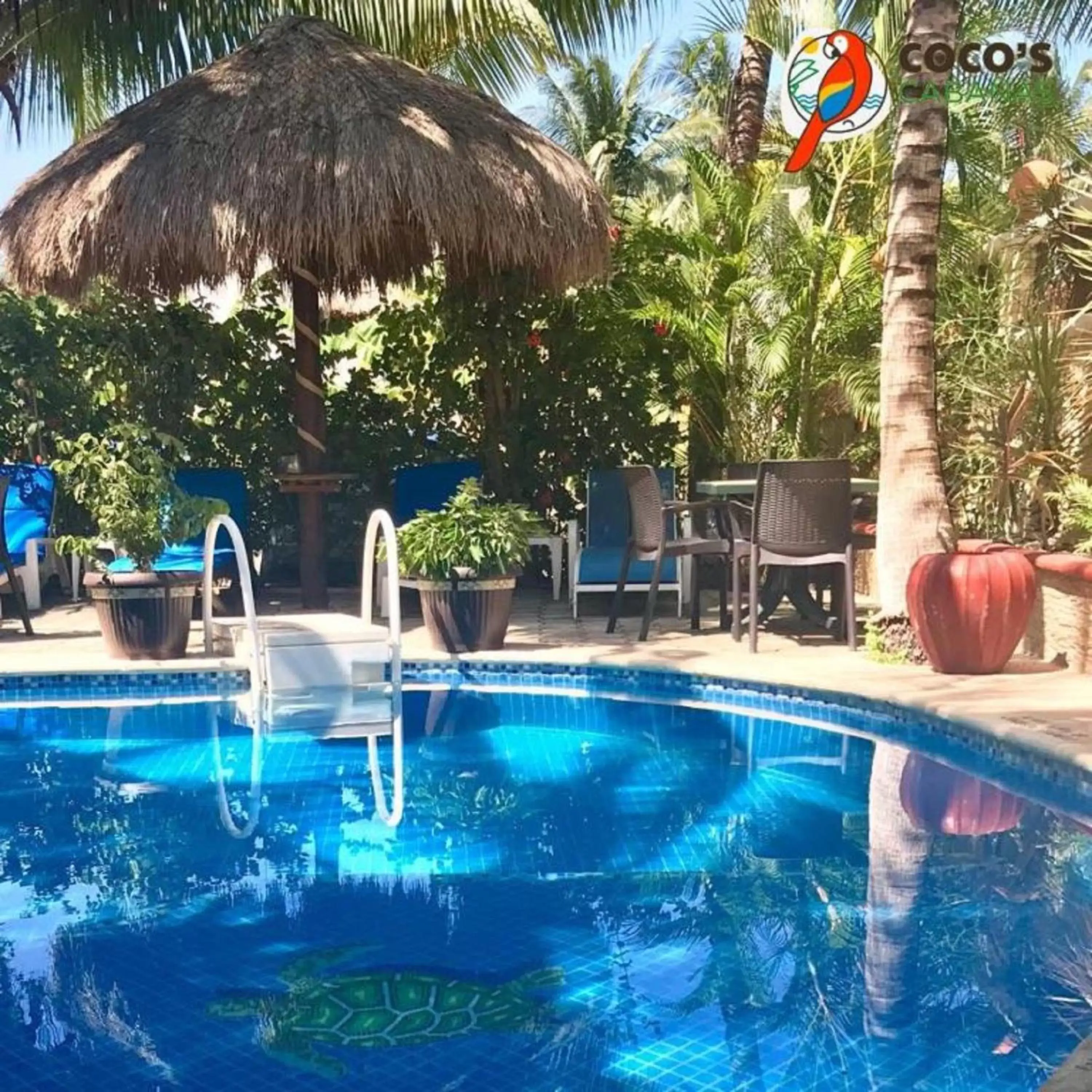 Swimming Pool in Cocos Cabañas Playa del Carmen Adults Only