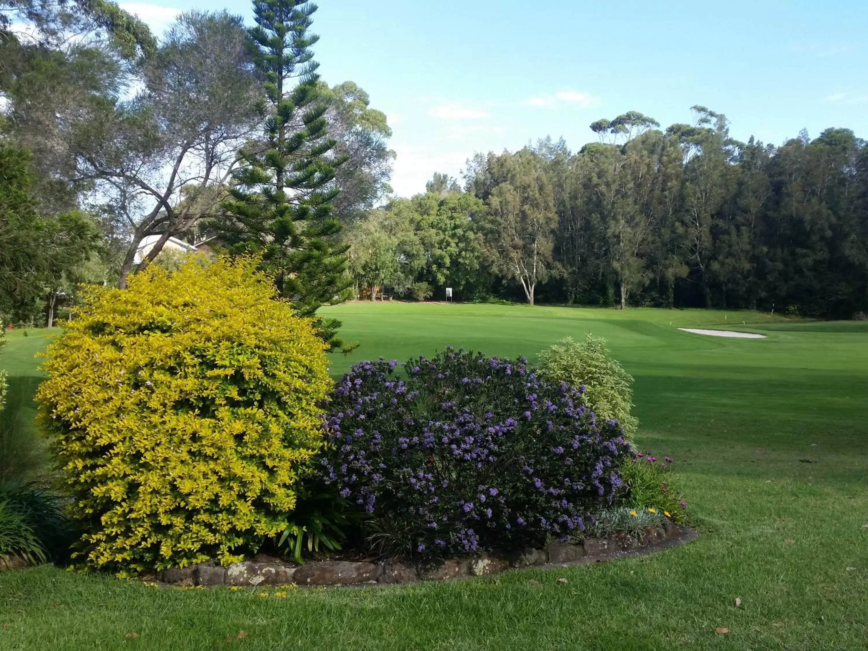 Natural landscape, Golf in Dolphins of Mollymook Motel and Fifth Green Apartments