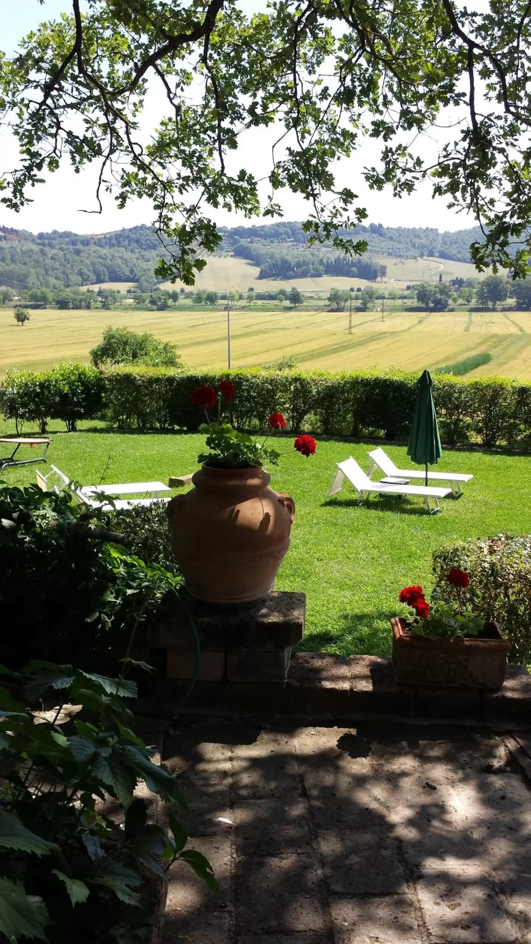 Garden in Podere Lamaccia - bed and kitchinette