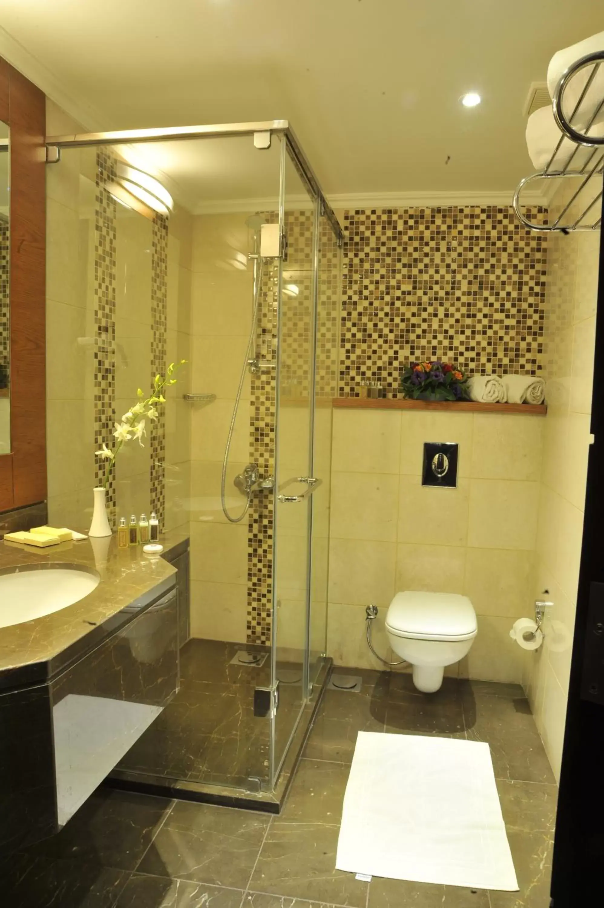 Bathroom in Lancaster Raouche Hotel Bathroom in Lancaster Raouche Hotel