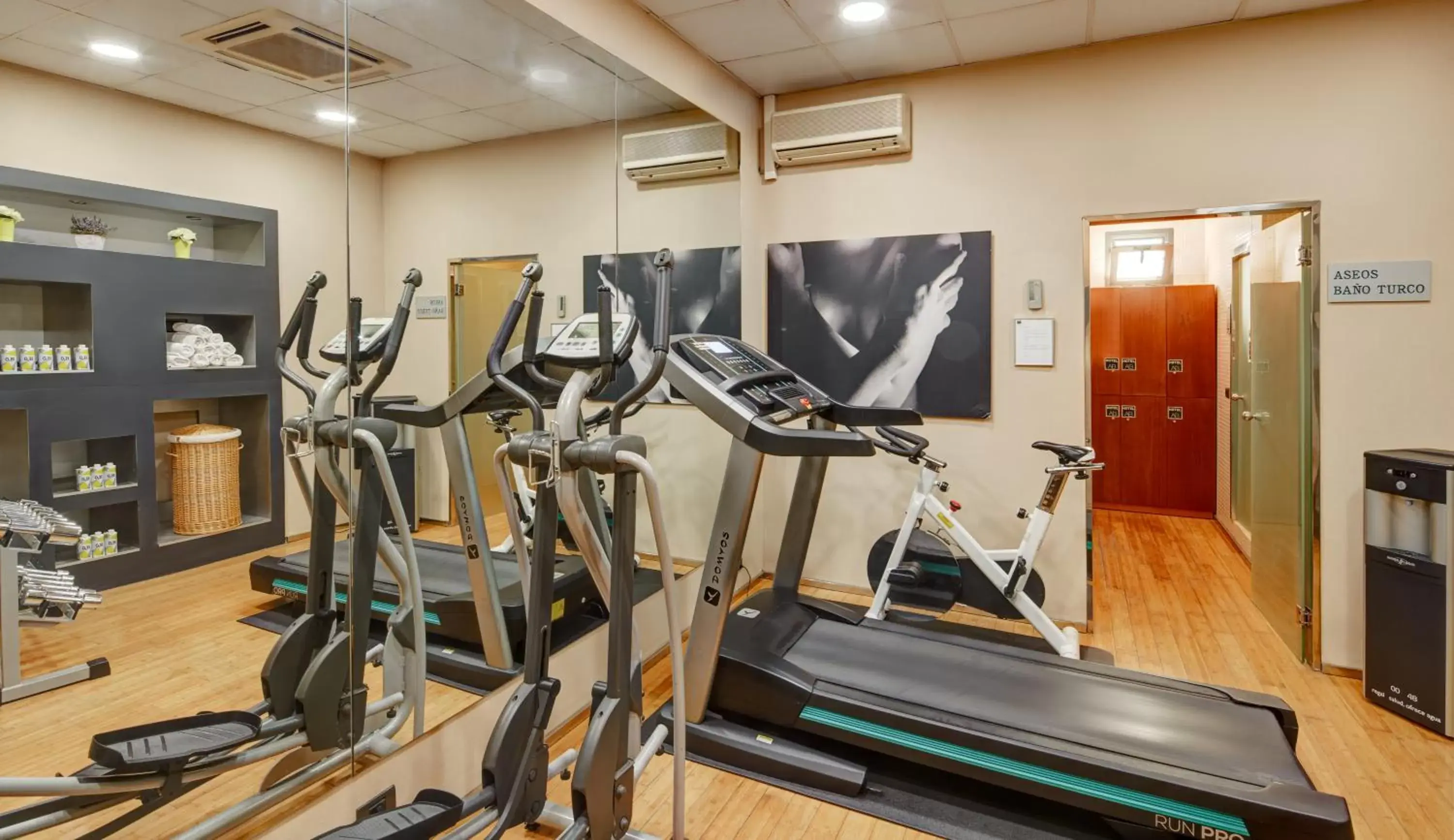 Fitness centre/facilities, Fitness Center/Facilities in Sercotel AB Rivas