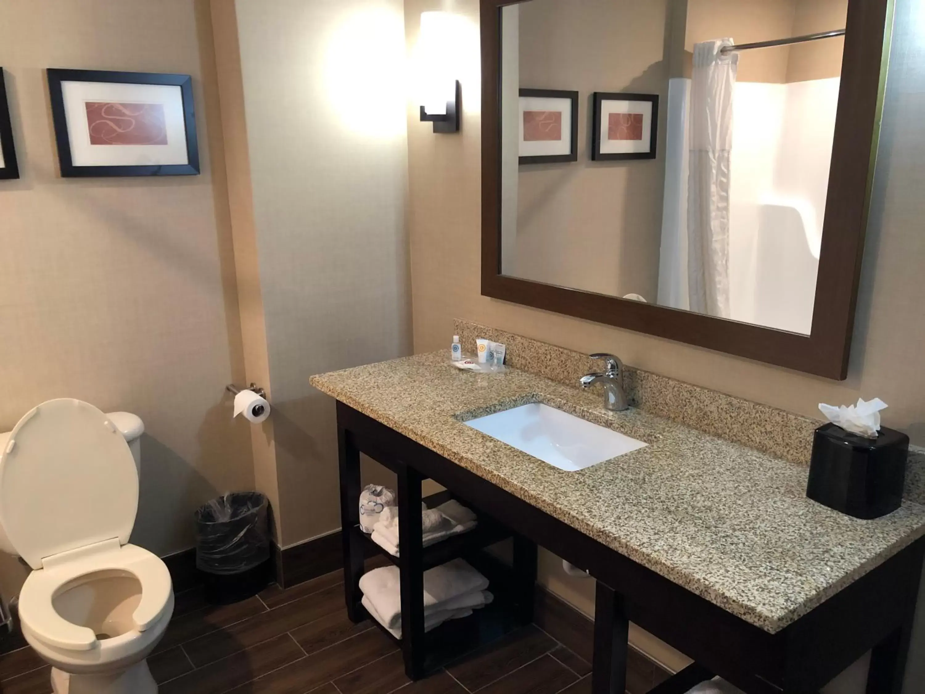 Standard Double Suite in Comfort Suites Bluffton-Hilton Head Island