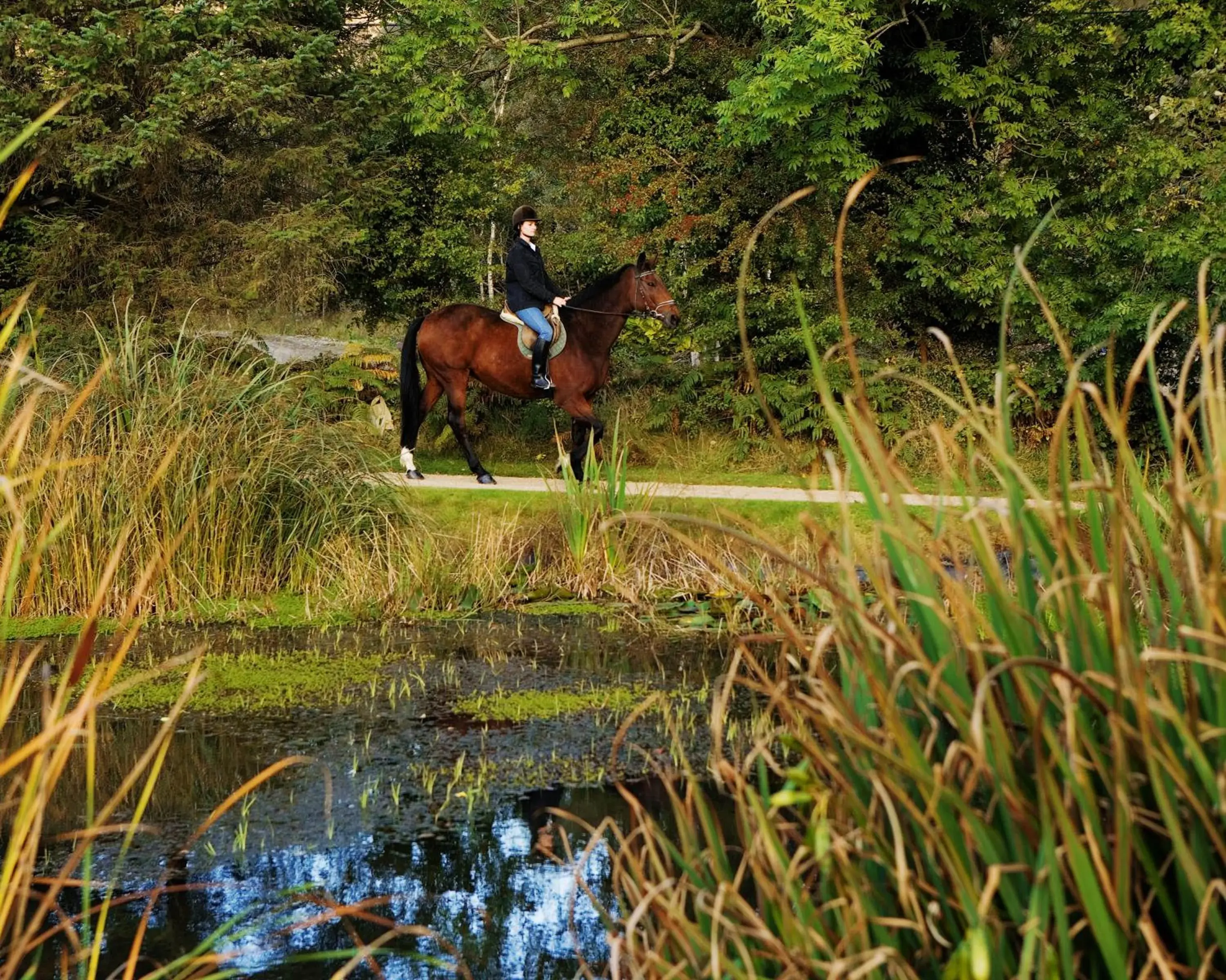 Horse-riding, Horseback Riding in BrookLodge & Macreddin Village