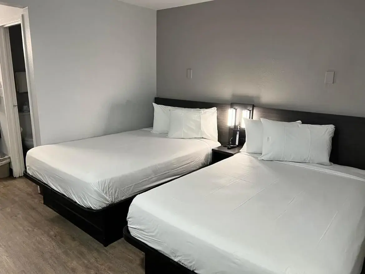 Bed in Motel 6-Lakeland, FL