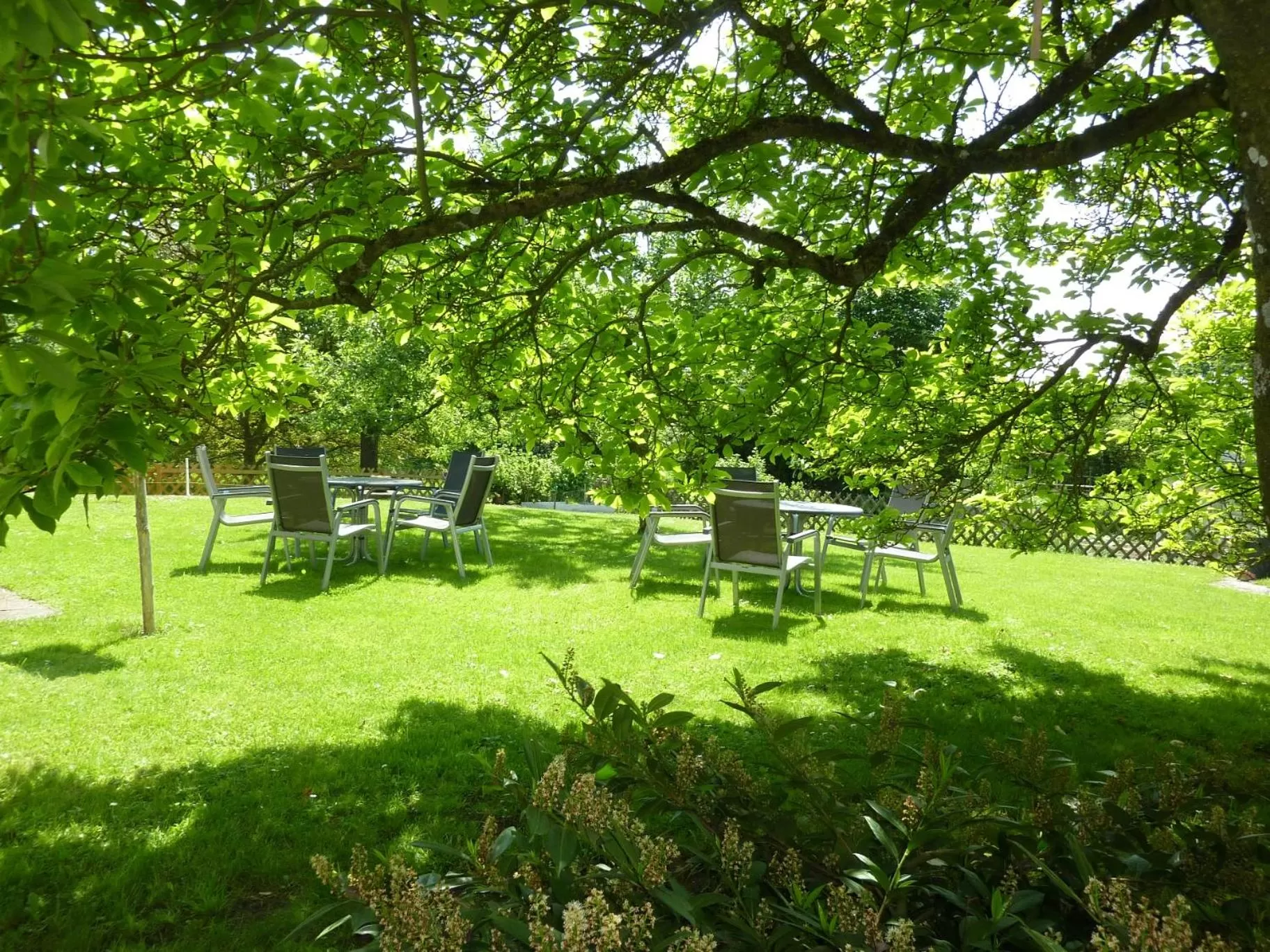 Balcony/Terrace in Hotel Garni Jägerhof