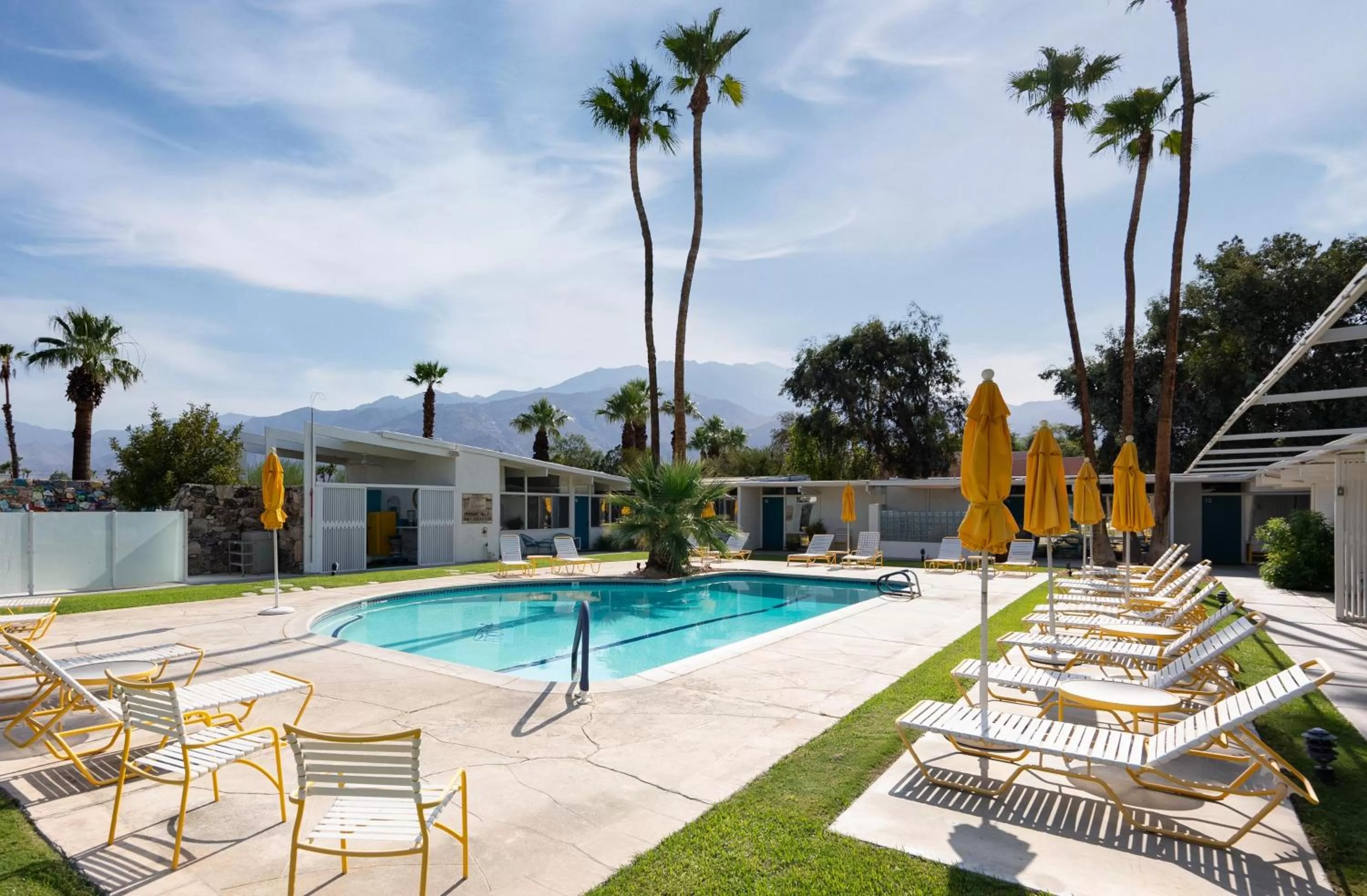Swimming Pool in The Monkey Tree Hotel by AvantStay