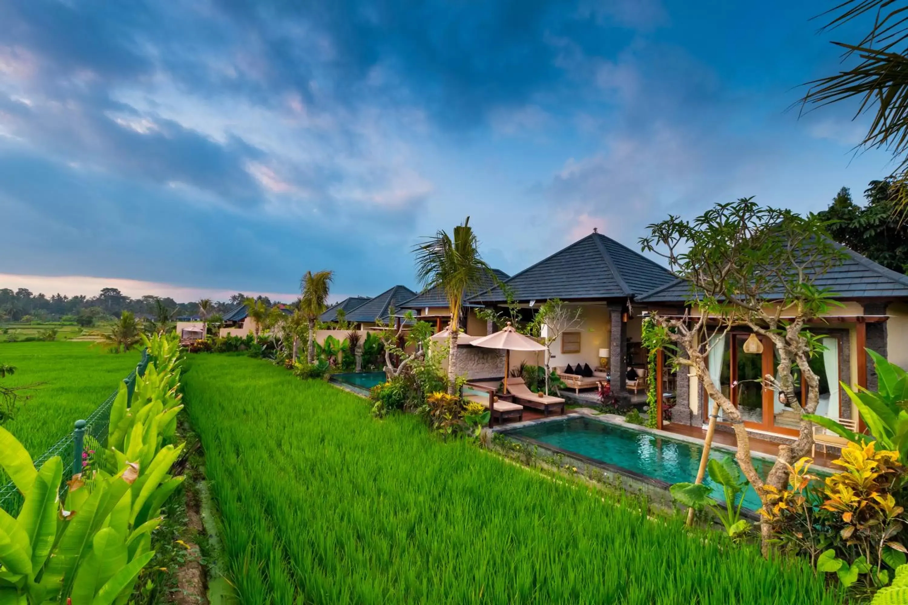 Garden, Swimming Pool in Bliss Ubud Spa Resort