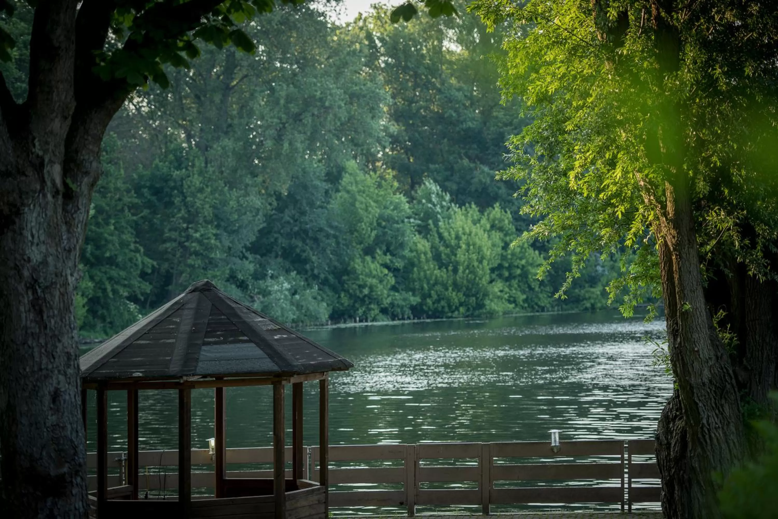 Natural landscape in Seehotel Grunewald