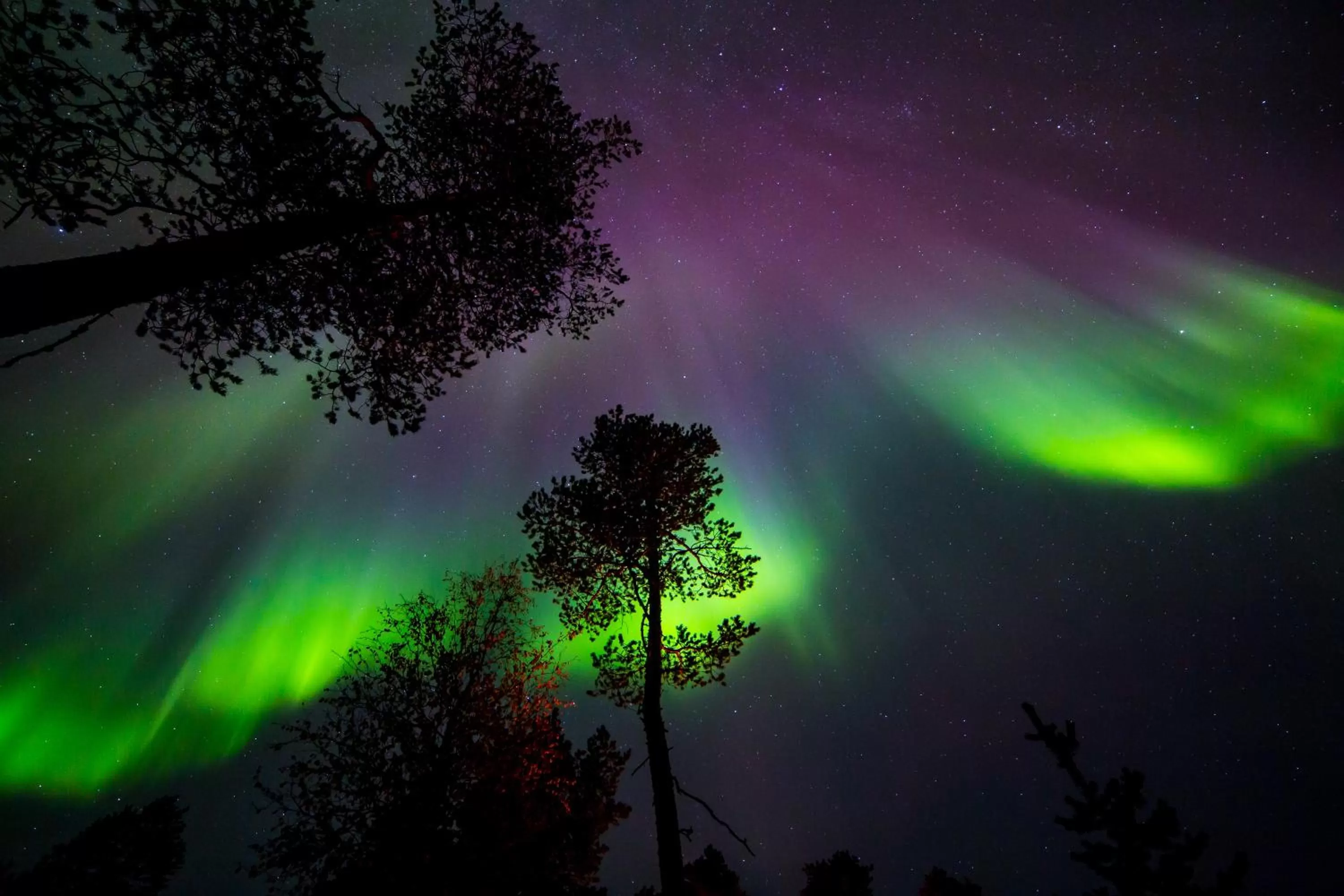 Activities in Wilderness Hotel Inari & Igloos