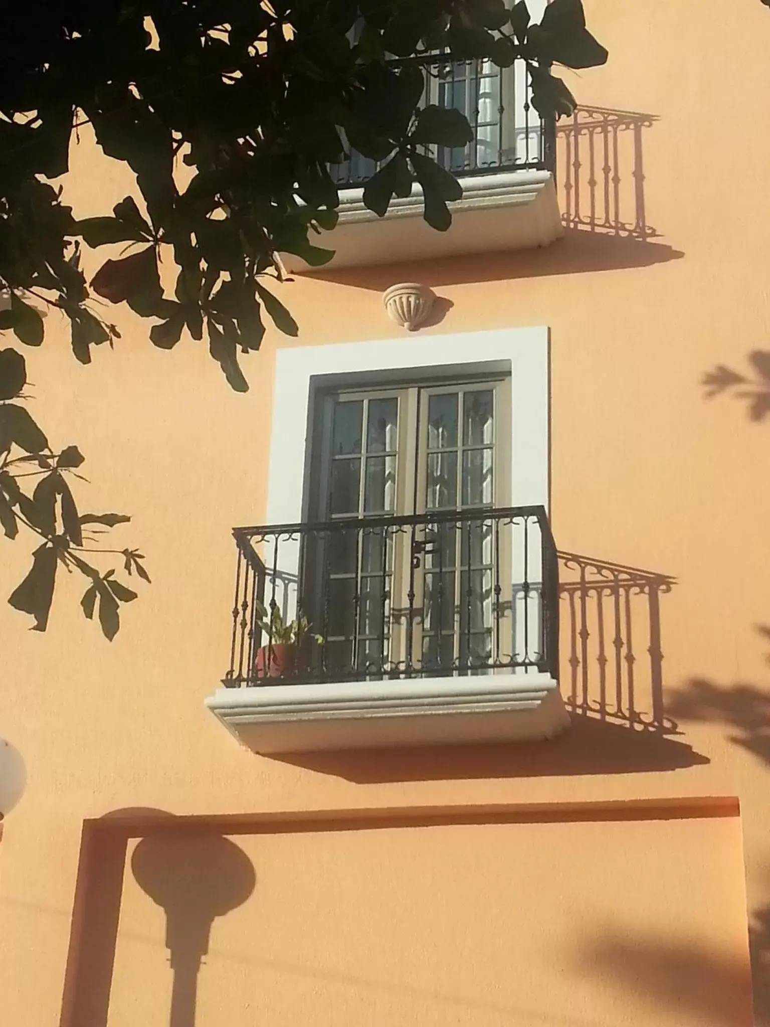 Balcony/Terrace in Hotel Los Itzaes by 5th av