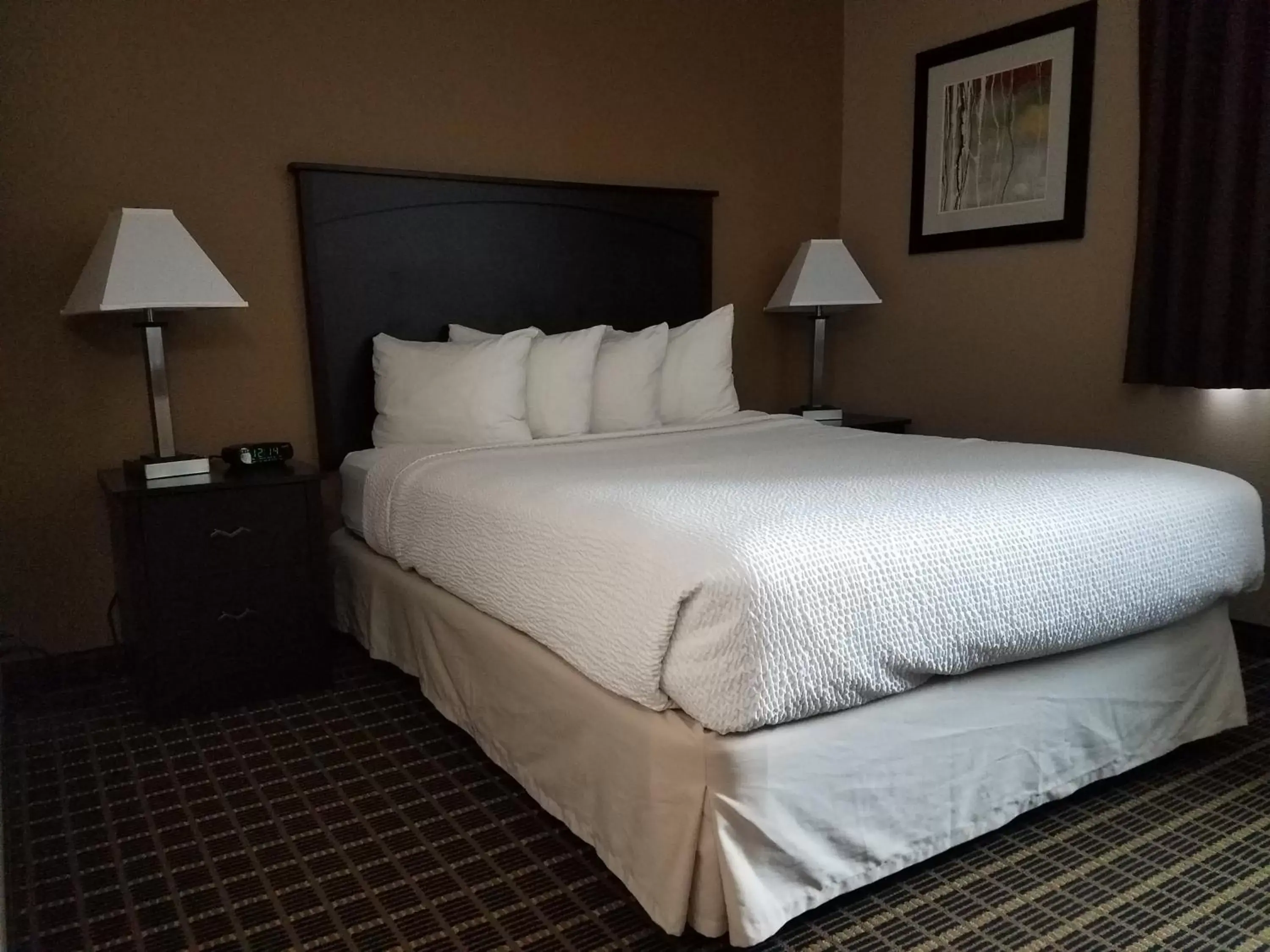 Bed in Americas Best Value Inn and Suites Bismarck