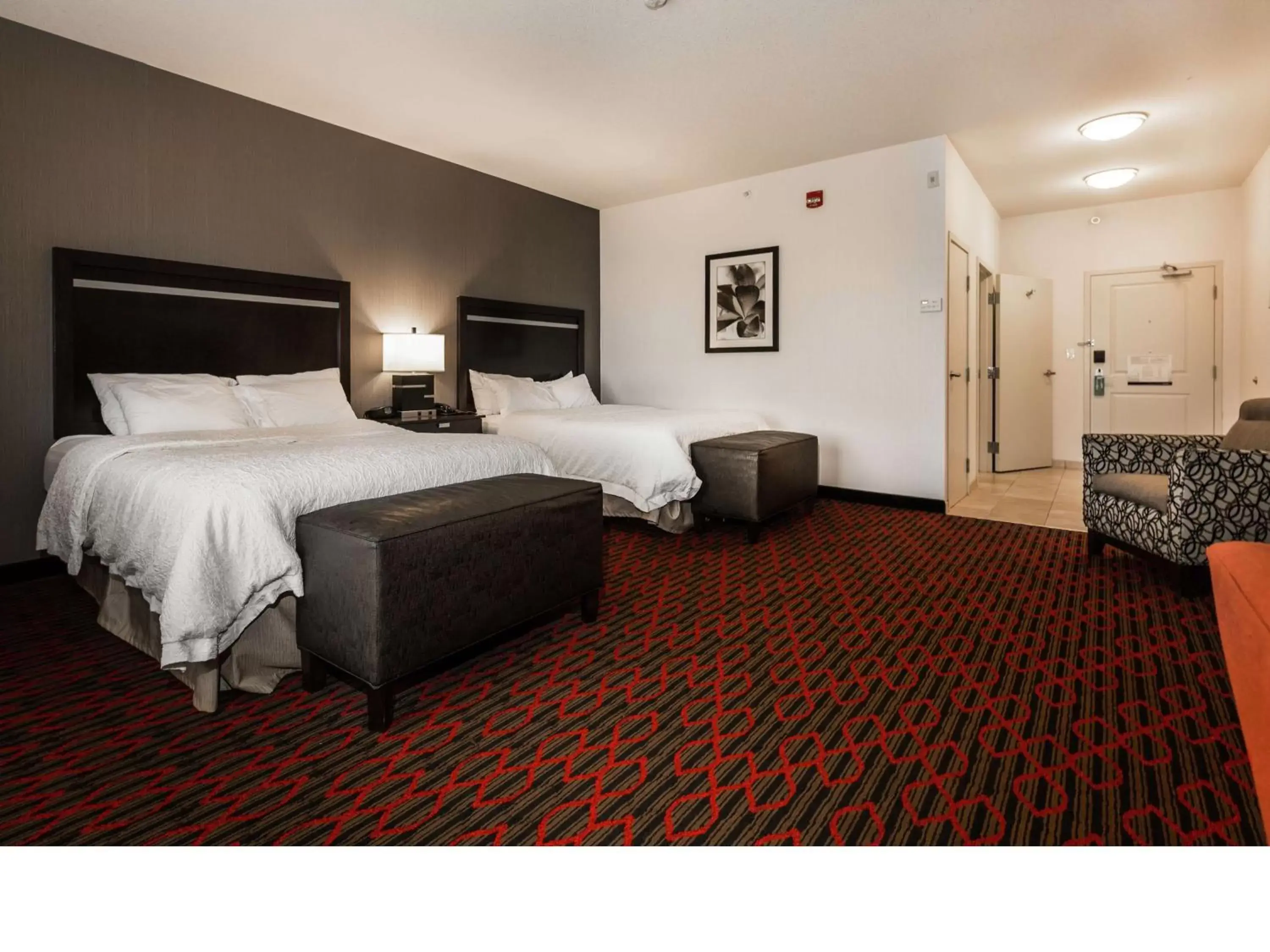 Photo of the whole room, Bed in Hampton Inn & Suites by Hilton Lethbridge