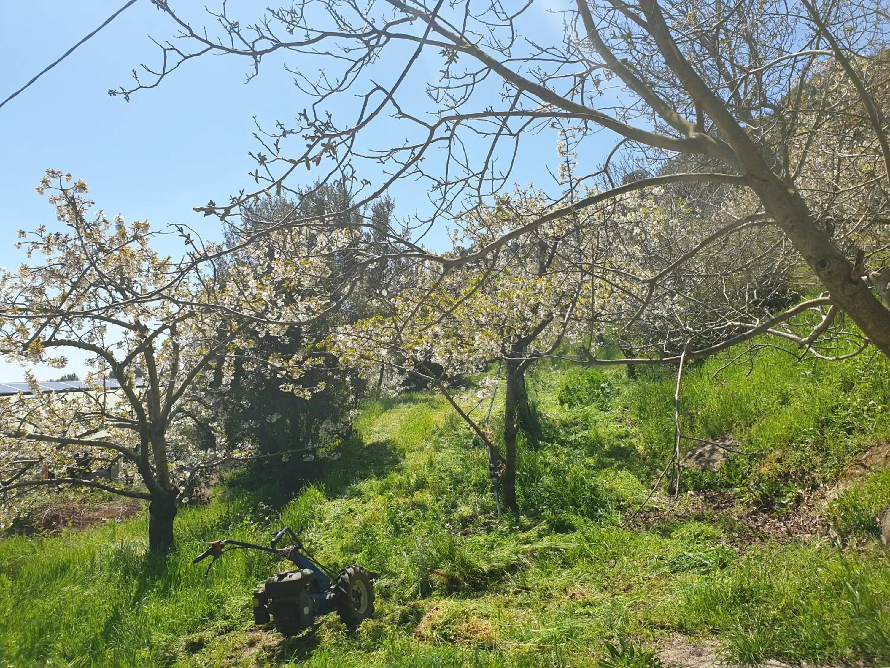 Garden in Oasi del benessere