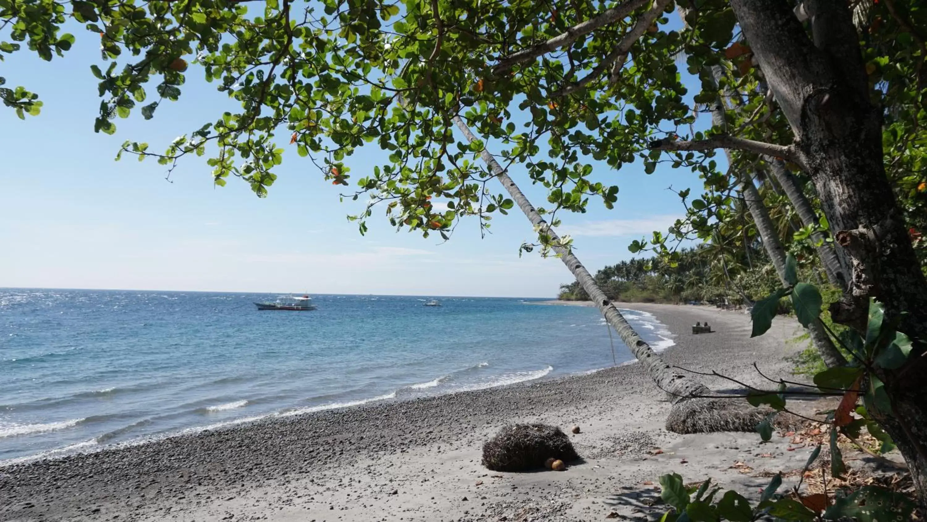 Beach in Wellbeach Dive Resort