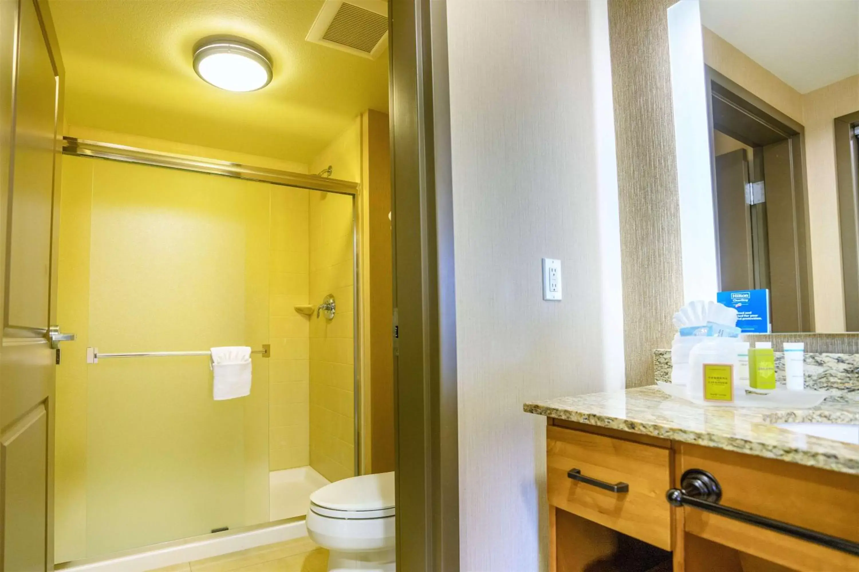 Bathroom in Homewood Suites by Hilton, Durango