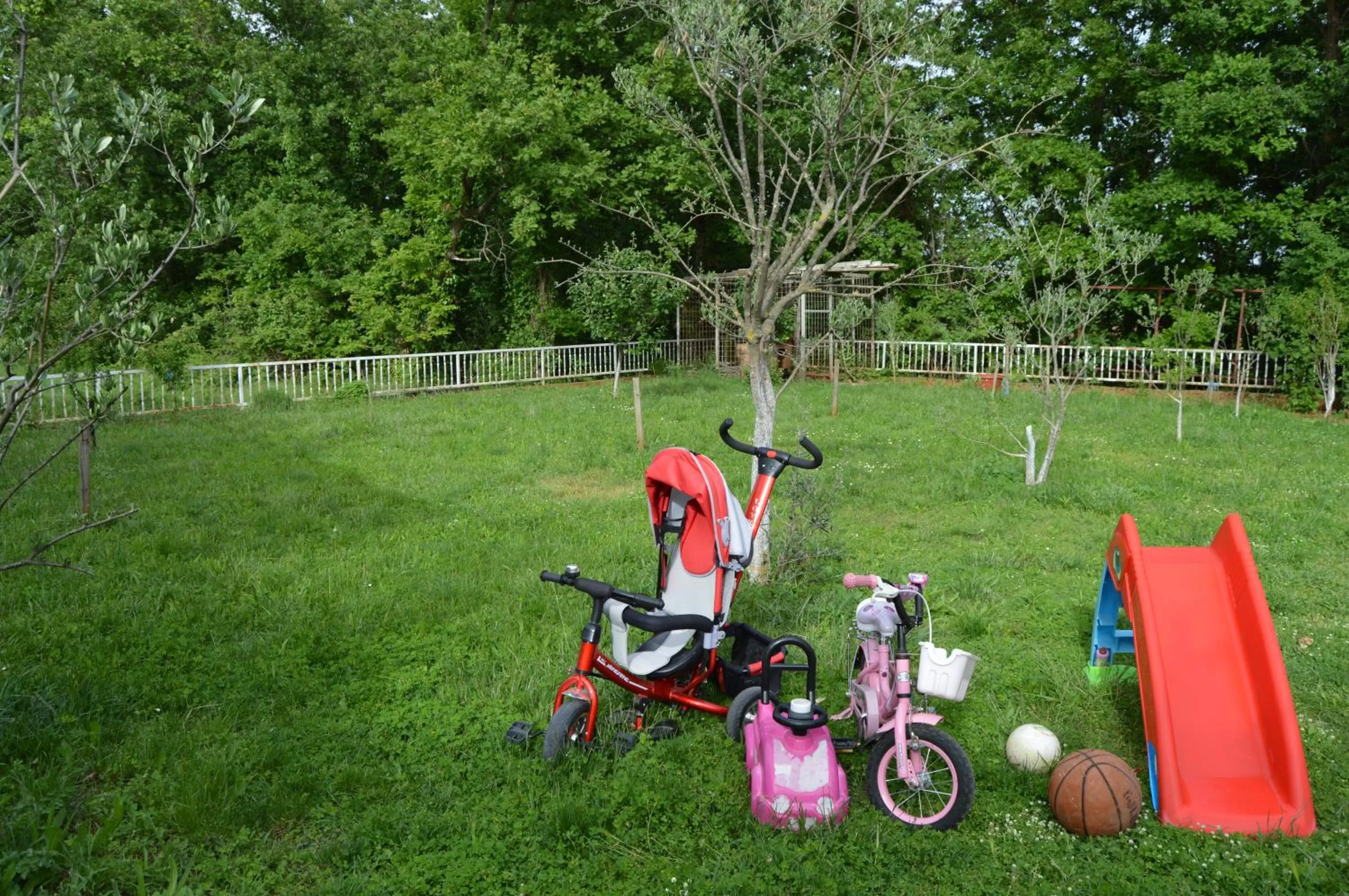 Garden view in Pansion Modana Medjugorje
