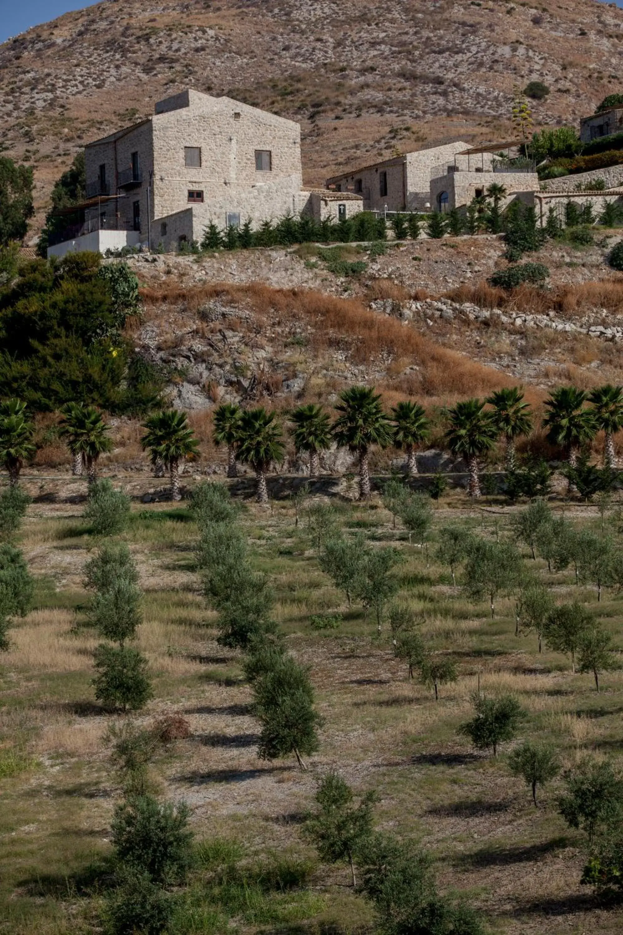 Activities, Property Building in Masseria Agnello