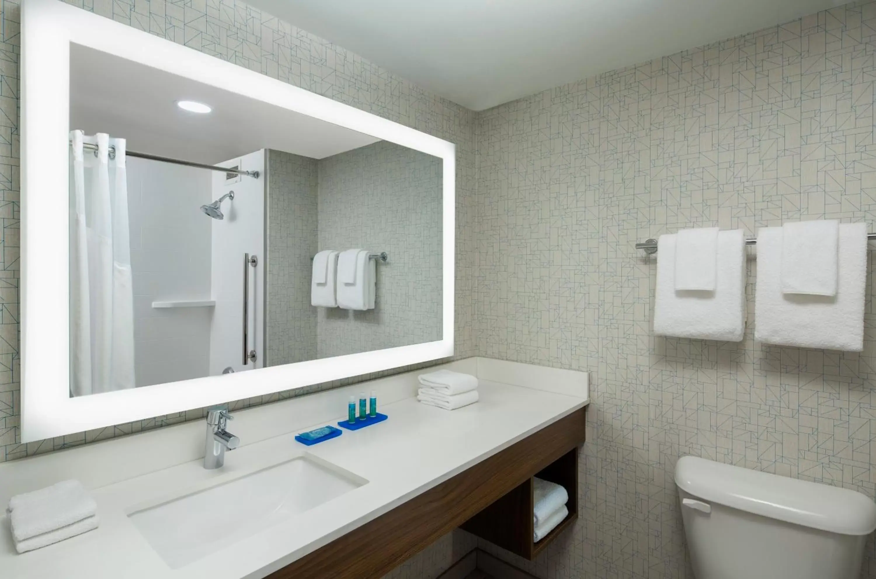 Bathroom in Holiday Inn Express Nashville-Downtown Conference Center, an IHG Hotel