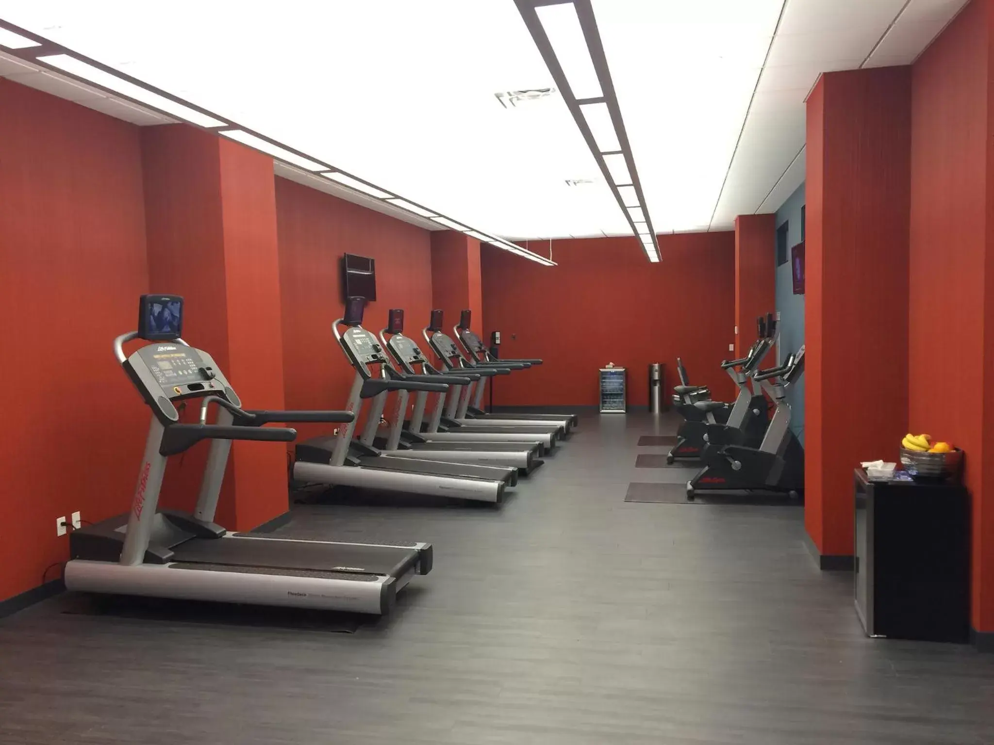 Fitness centre/facilities, Fitness Center/Facilities in InterContinental St. Paul Riverfront, an IHG Hotel