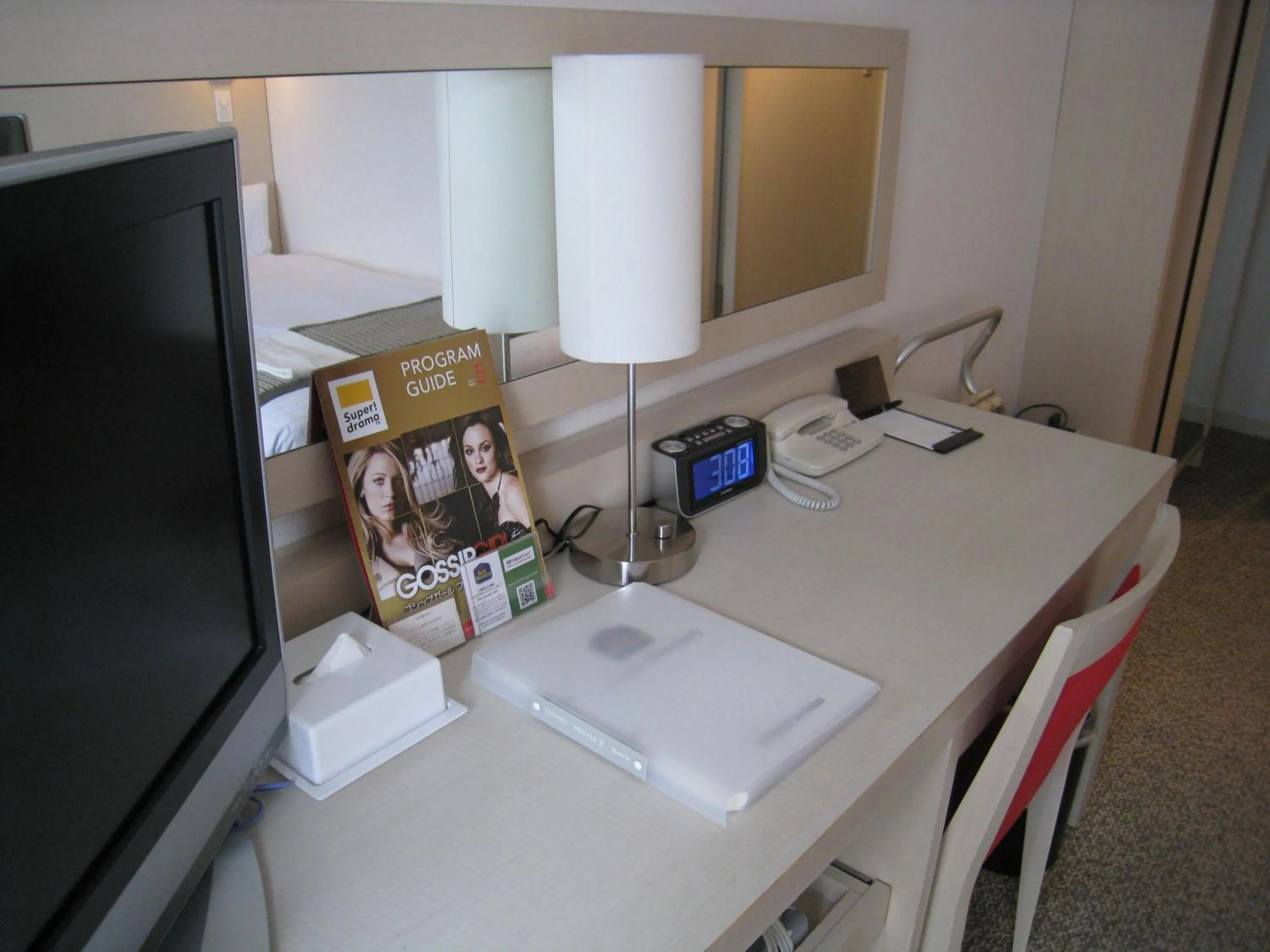 Single Room - single occupancy - Smoking in Rembrandt Style Tokyo Nishikasai