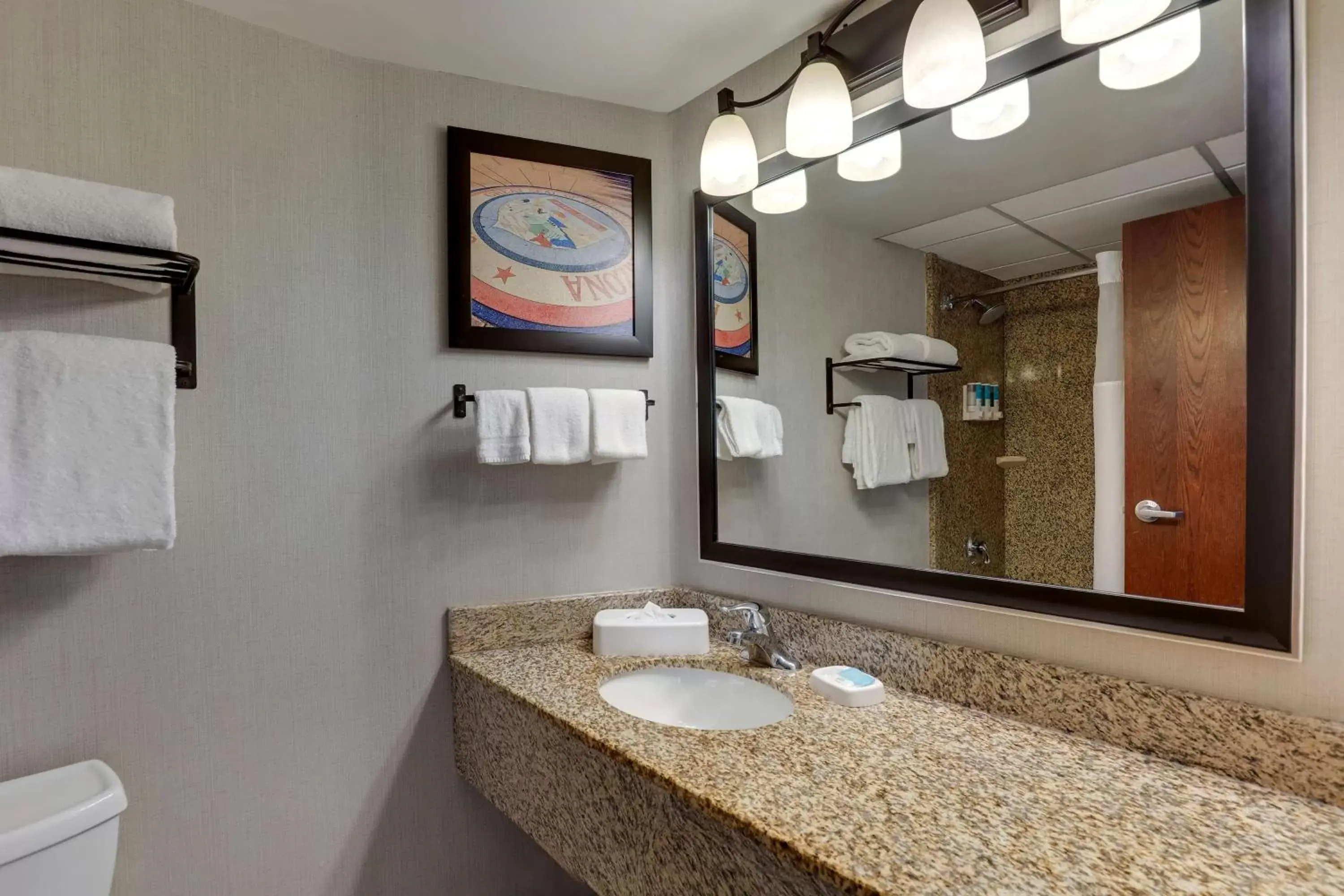 Bathroom in Drury Inn & Suites Phoenix Airport