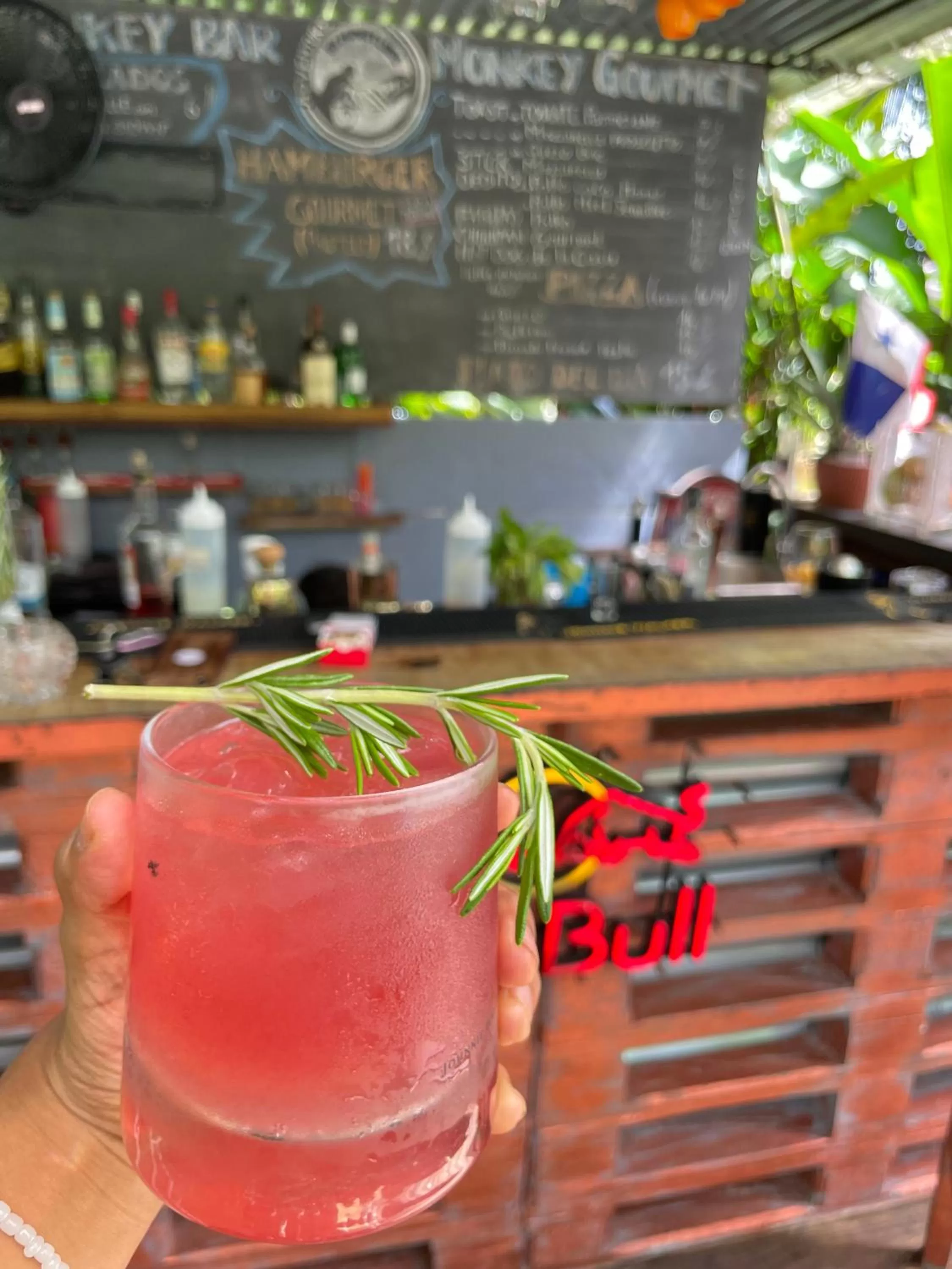 Drinks in Monkey Lodge Panama