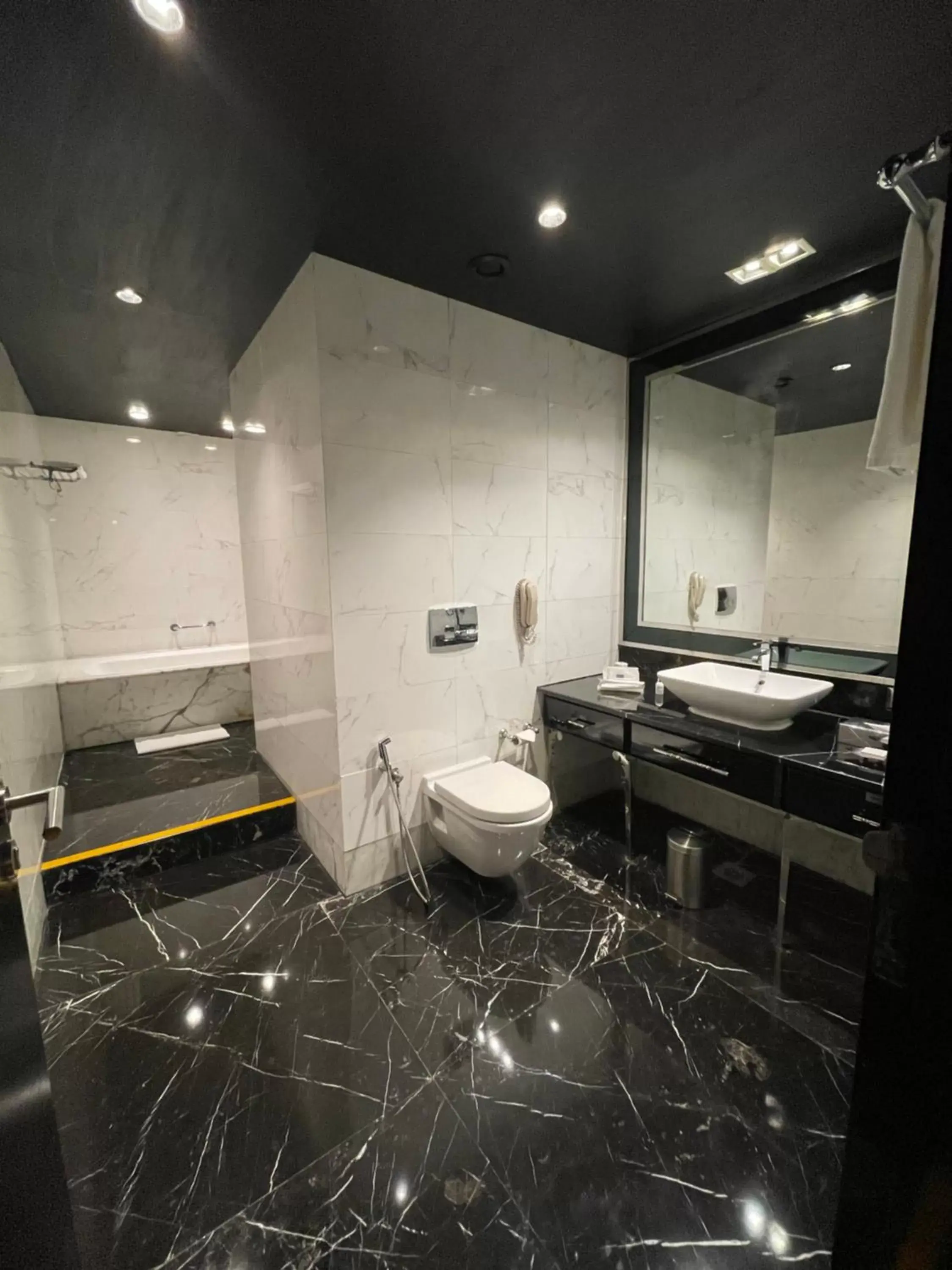 Bathroom in Radisson Blu Hotel New Delhi Paschim Vihar