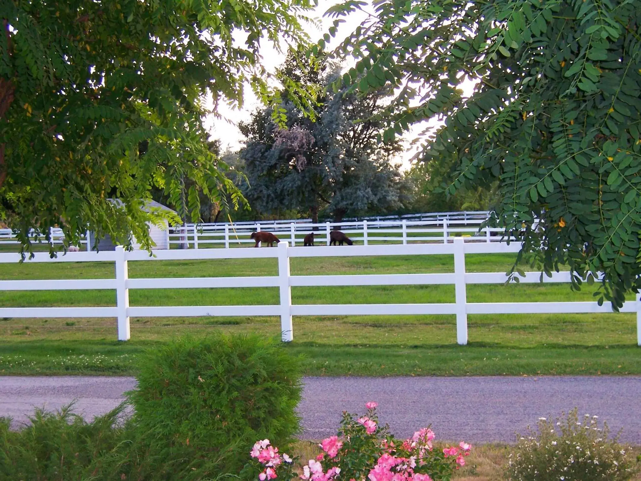 Decorative detail, Garden in South Thompson Inn & Conference Centre