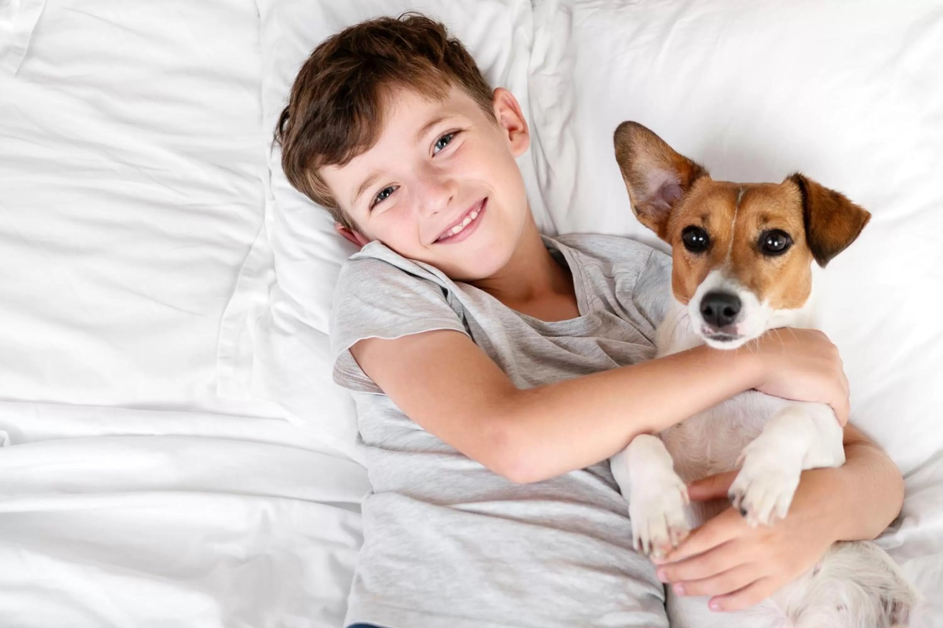 Pets in URH Sitges Playa