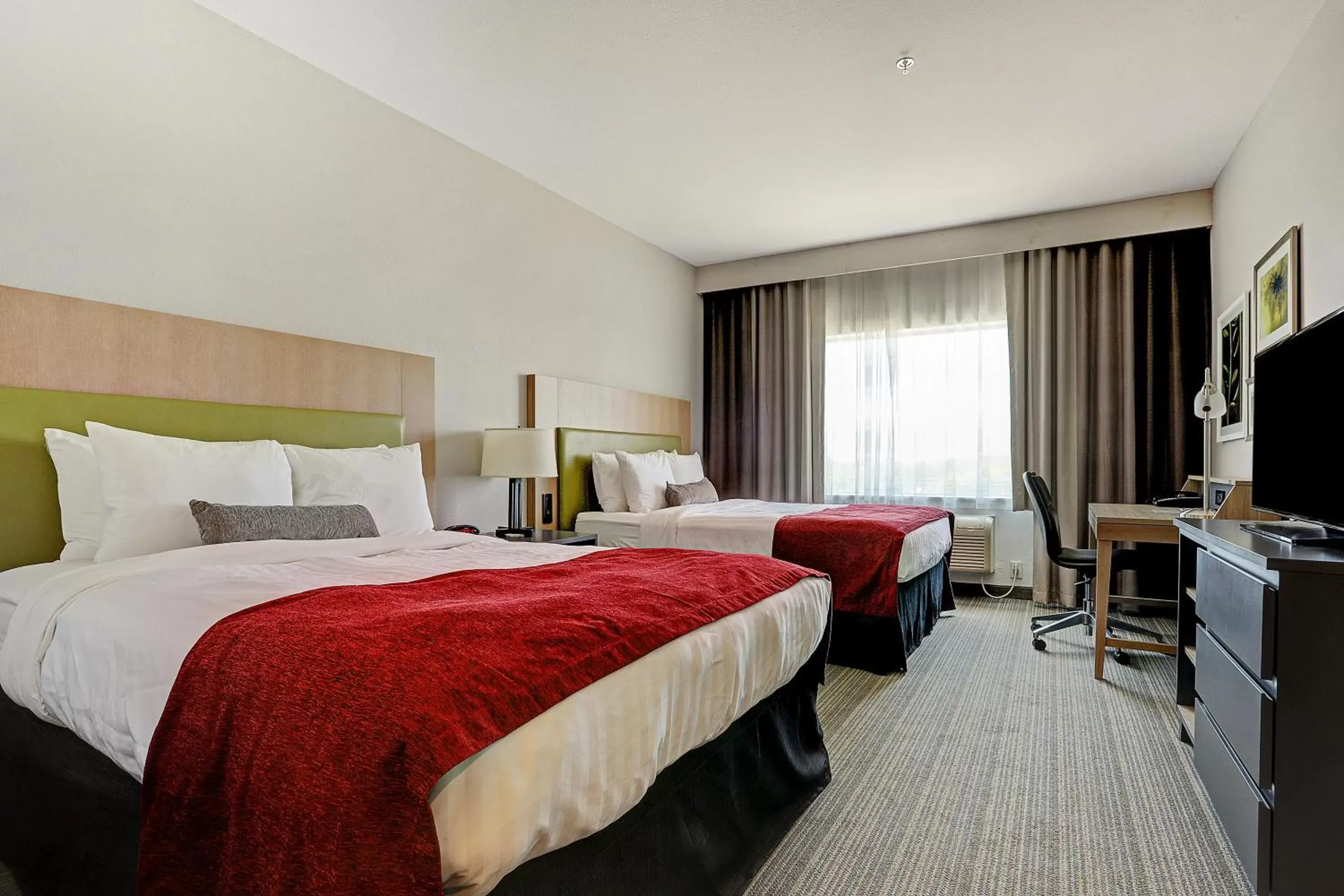 Bedroom in Best Western Plus Westheimer - Westchase Inn & Suites