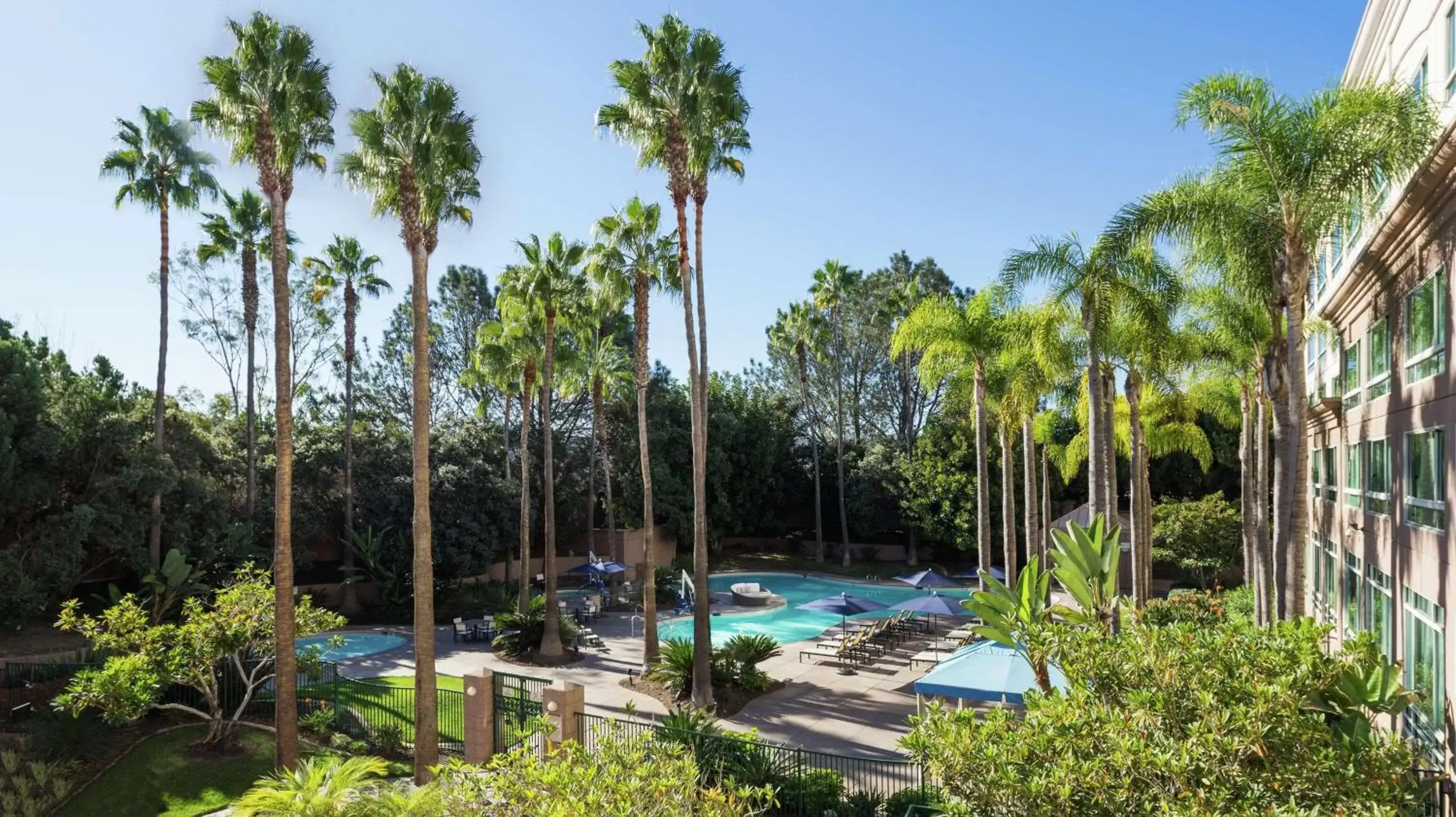 Pool view, Swimming Pool in DoubleTree by Hilton San Diego Del Mar