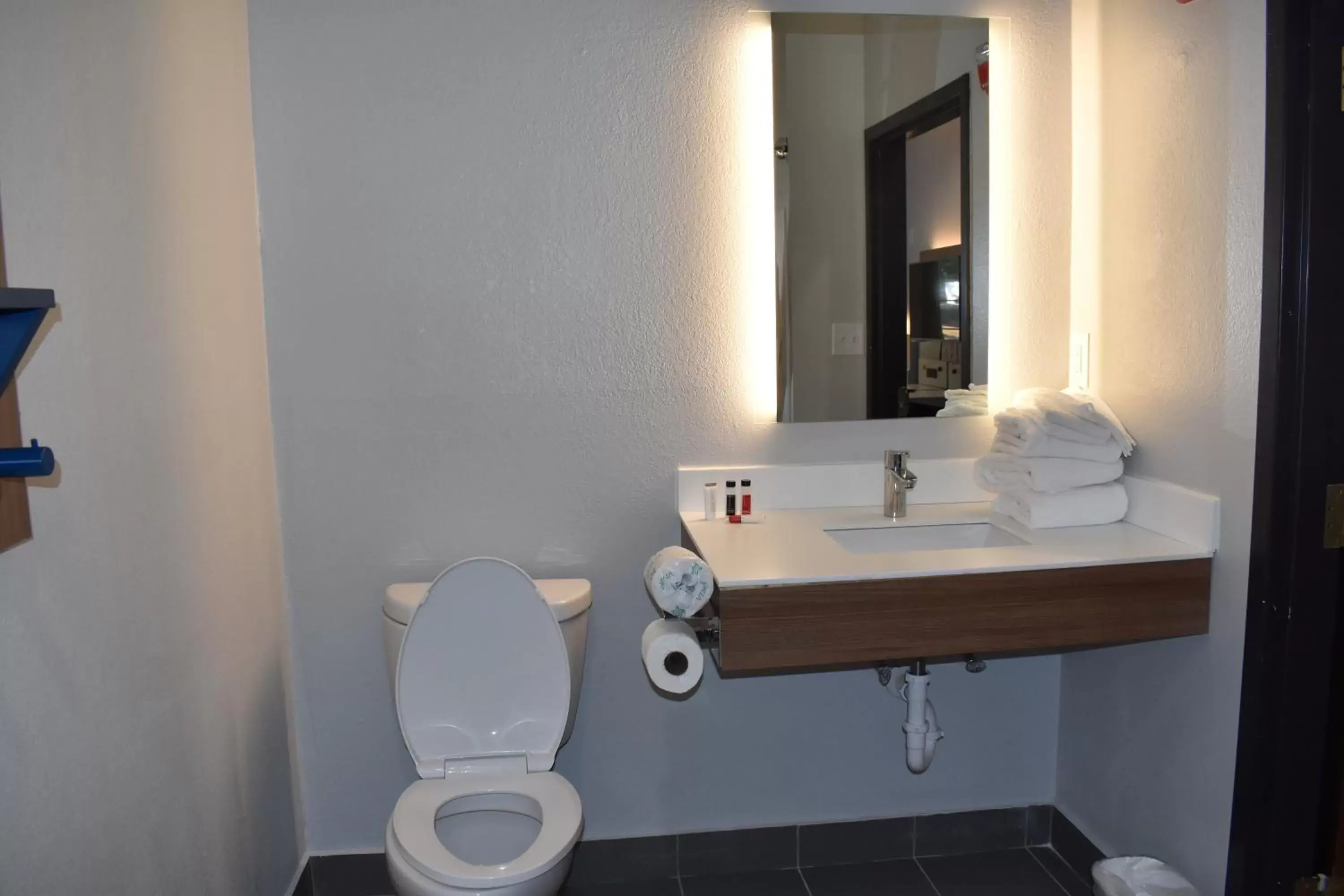 Toilet, Bathroom in Microtel Inn & Suites by Wyndham Stockbridge/Atlanta I-75