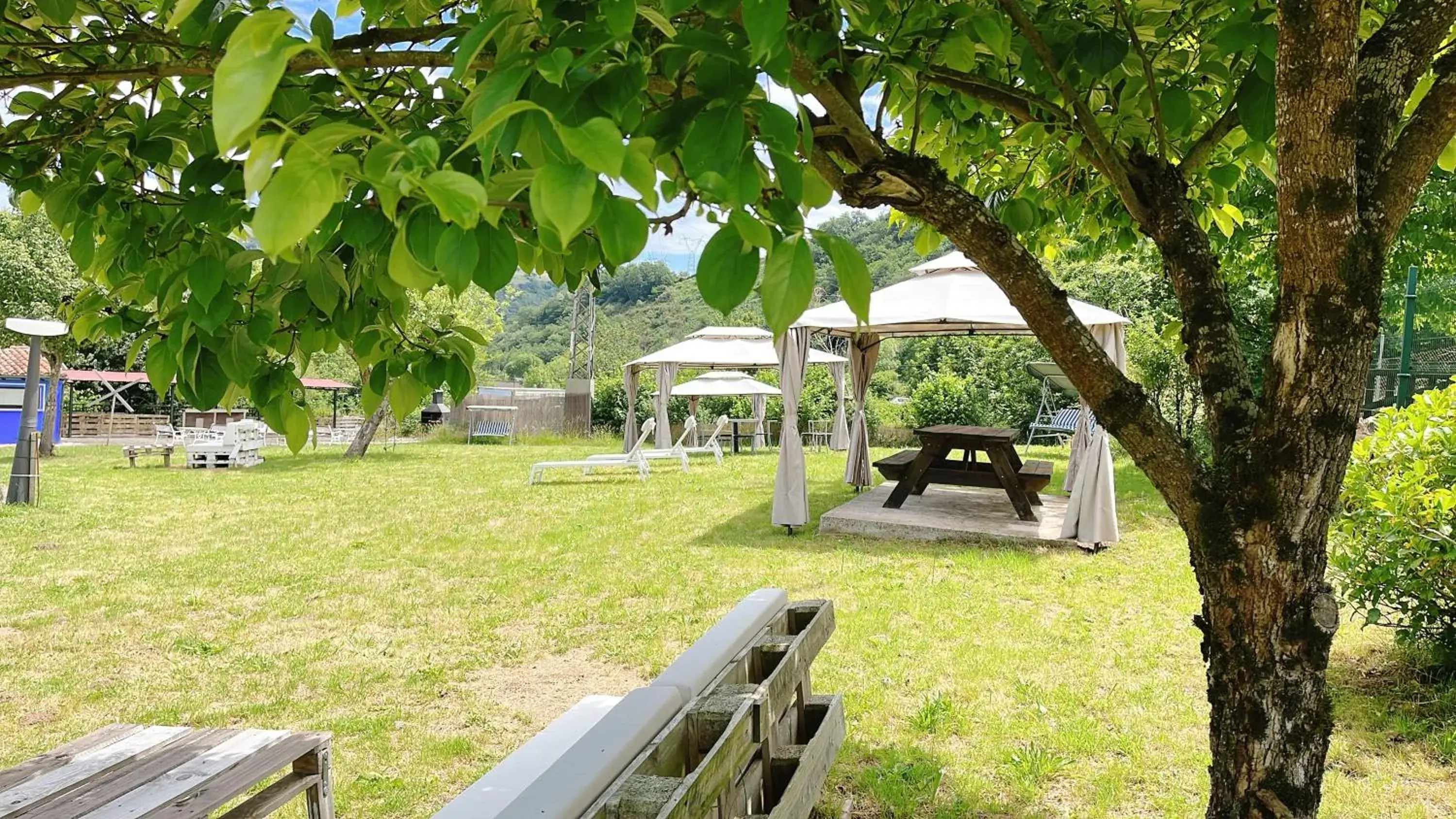 Garden in Hotel Avelina