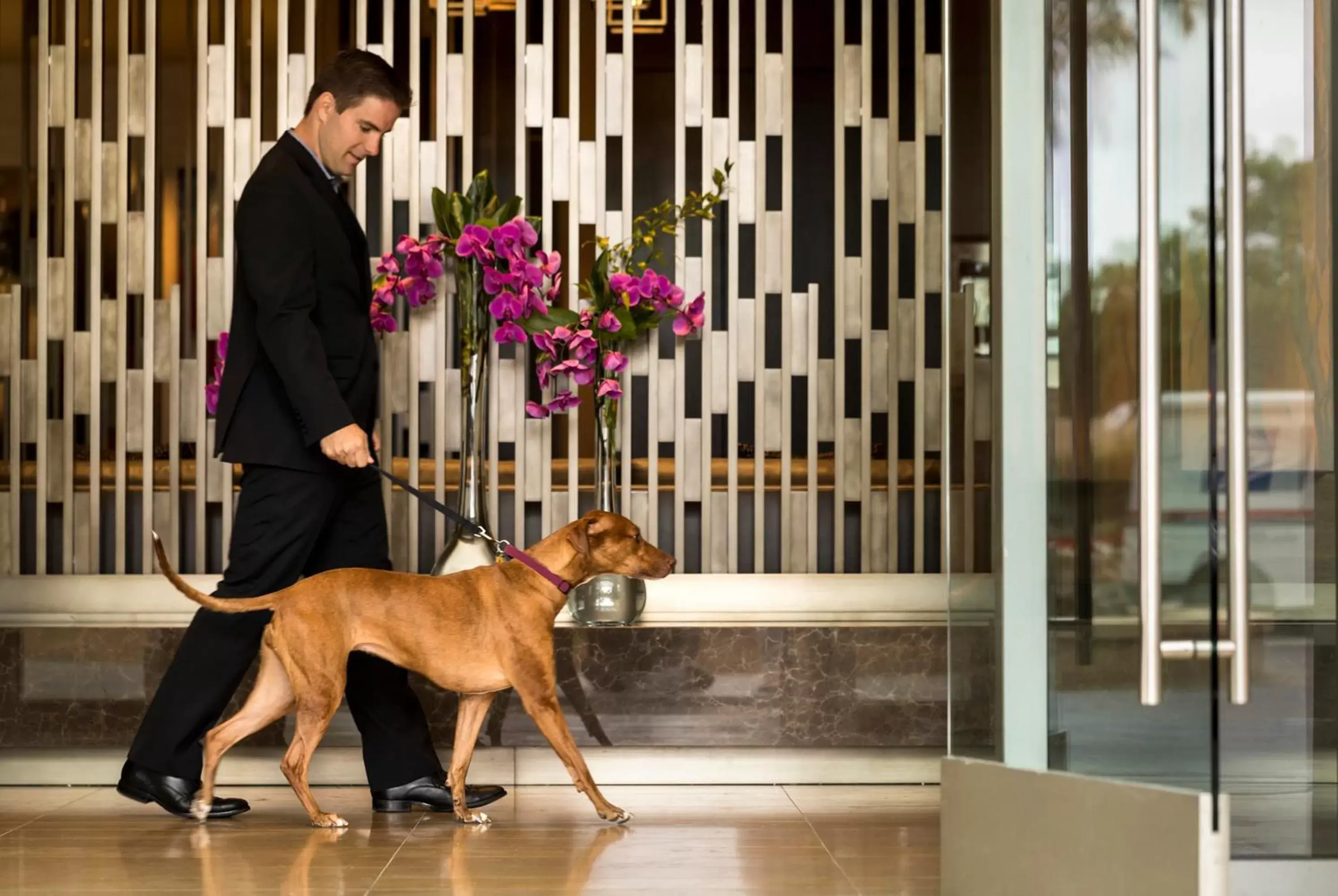 Pets in Four Seasons Hotel Silicon Valley at East Palo Alto