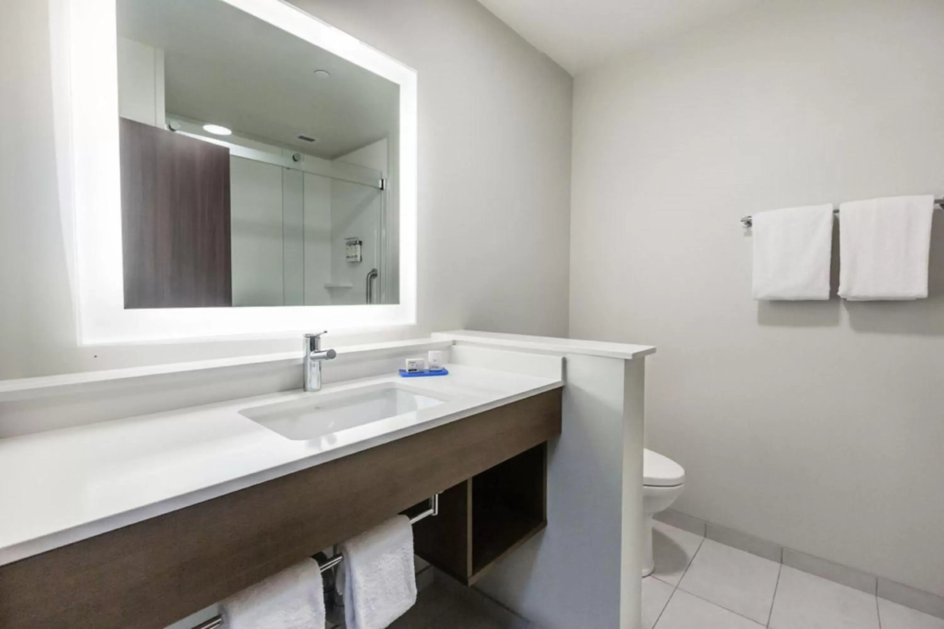 Bathroom in Holiday Inn Express & Suites Edmonton N - St Albert, an IHG Hotel
