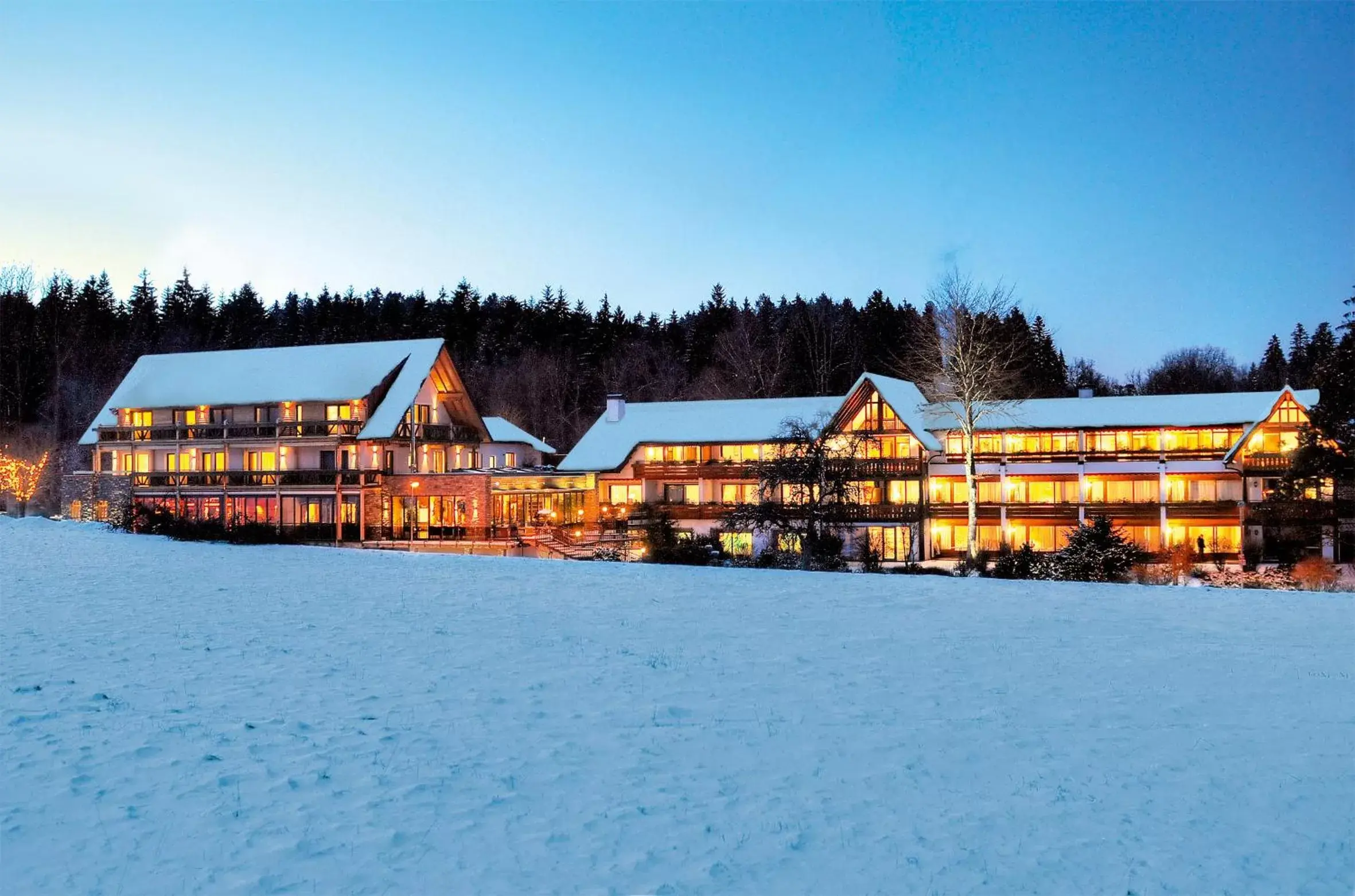 Property building, Winter in Hotel Grüner Wald