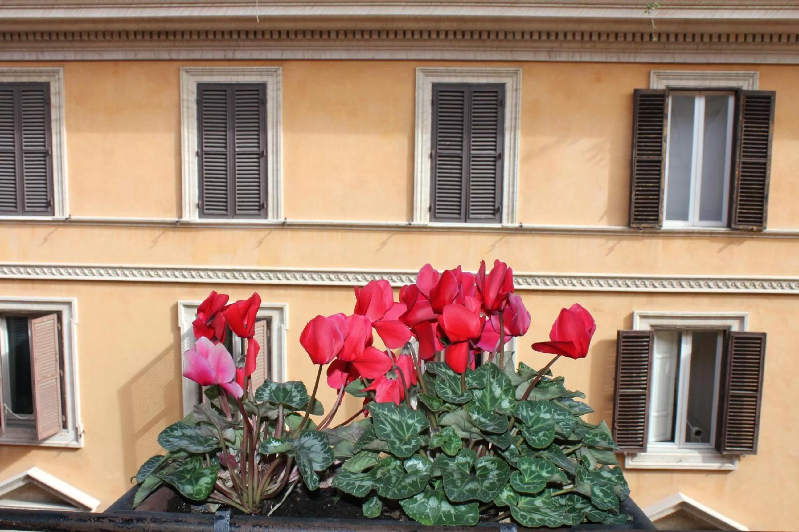 Facade/entrance in Hotel Garda