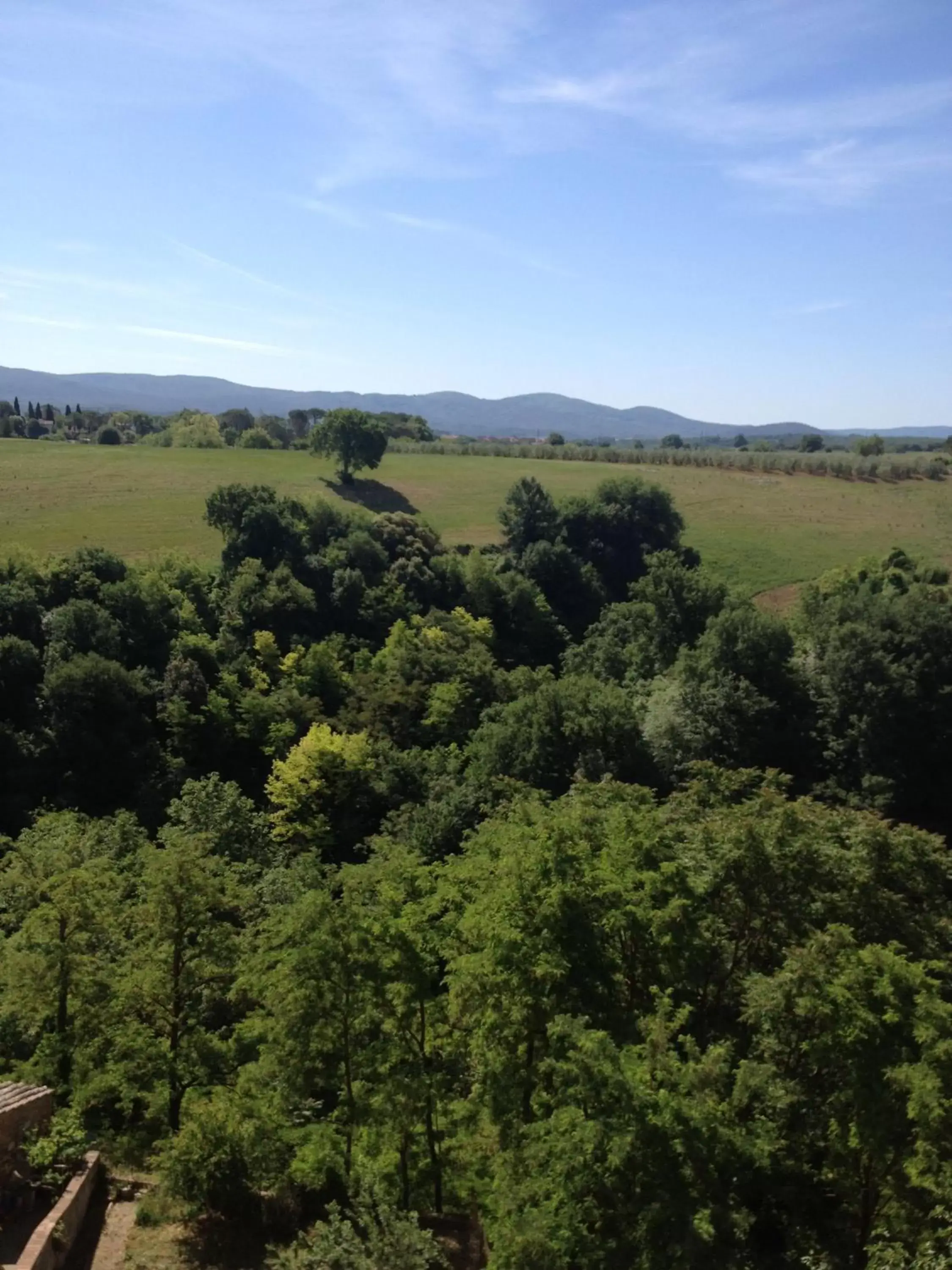 View (from property/room) in Palazzo Pacini